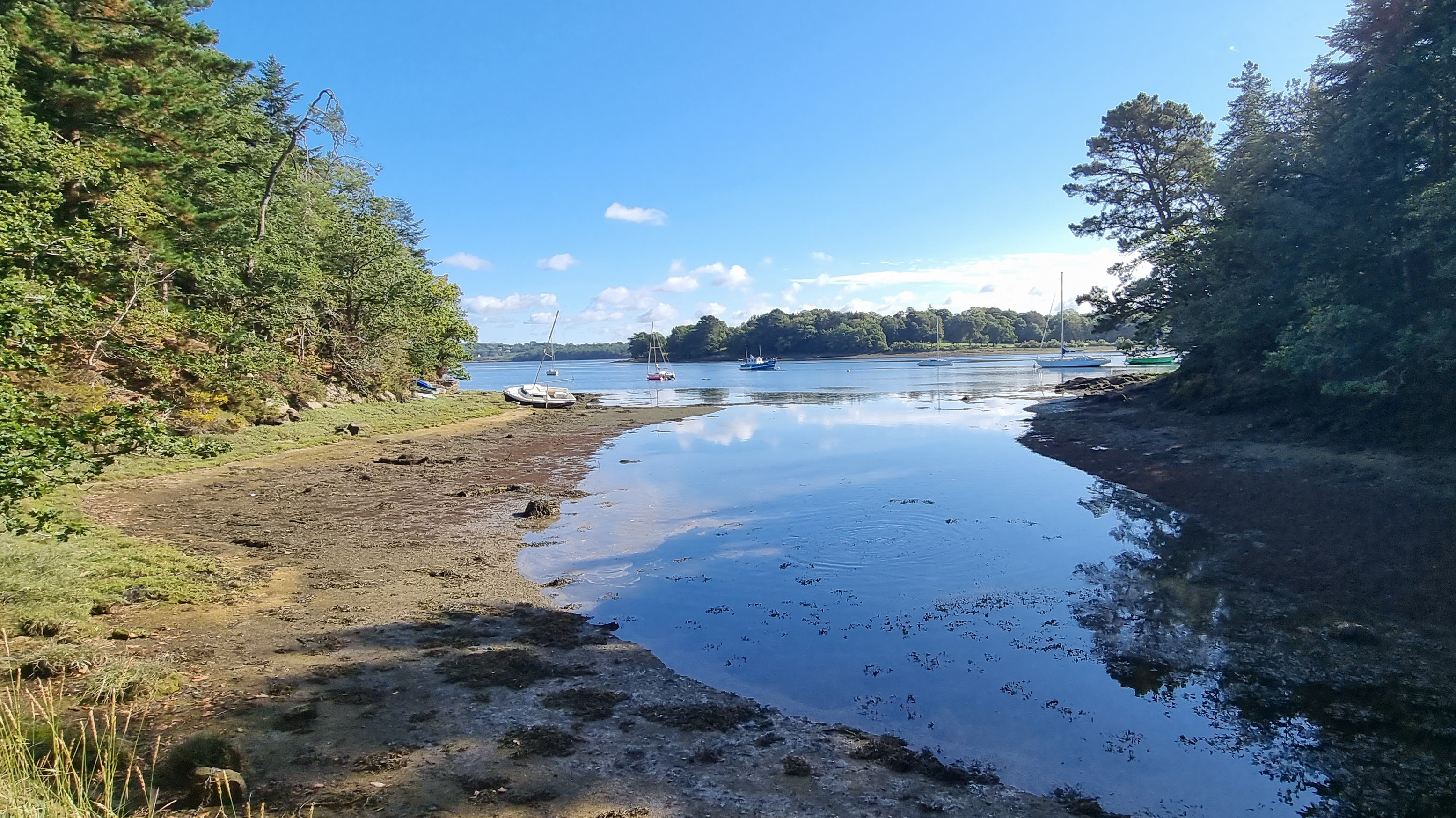 48-20210916_111352(0)