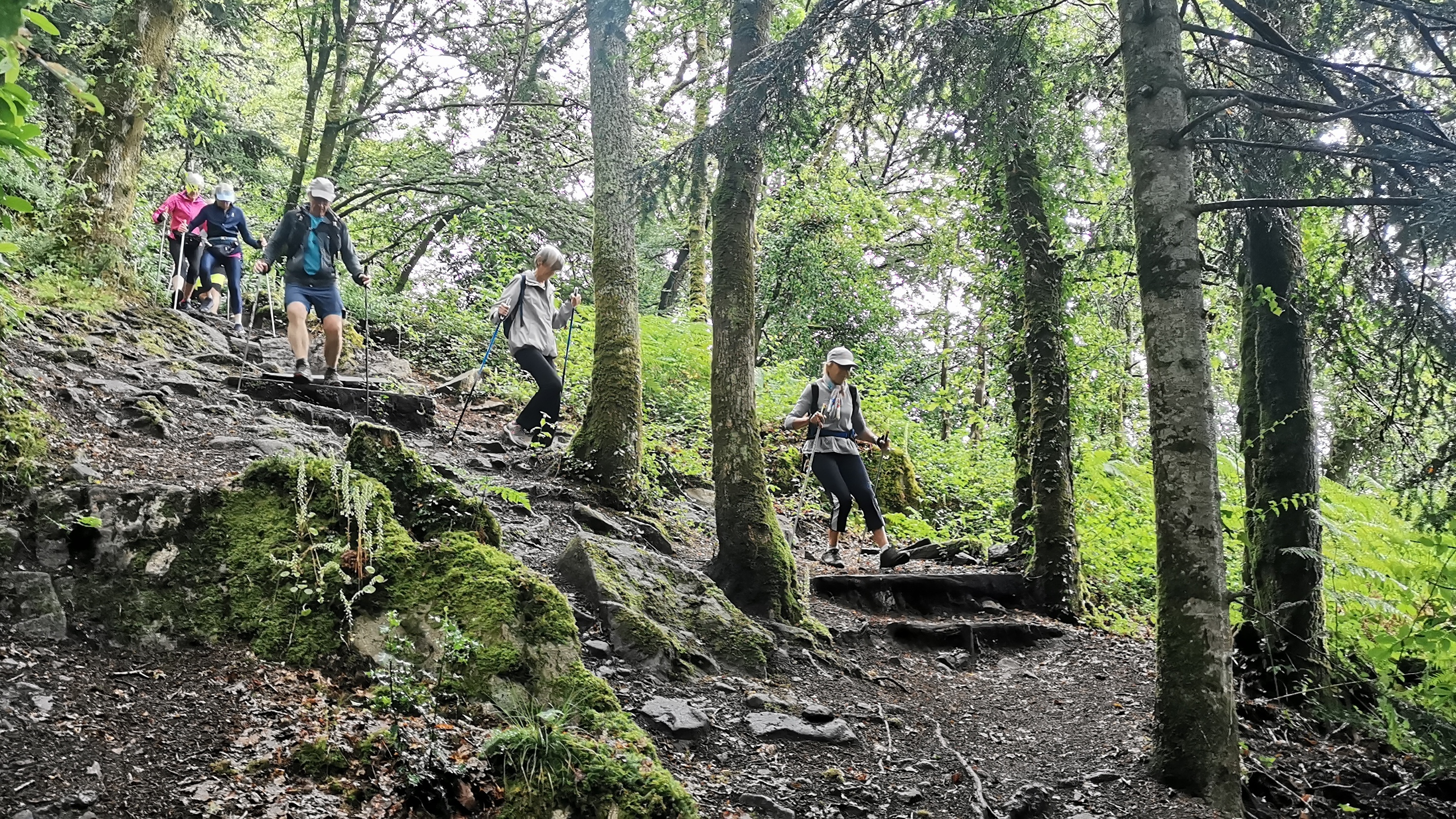 09-IMG_20210617_100216