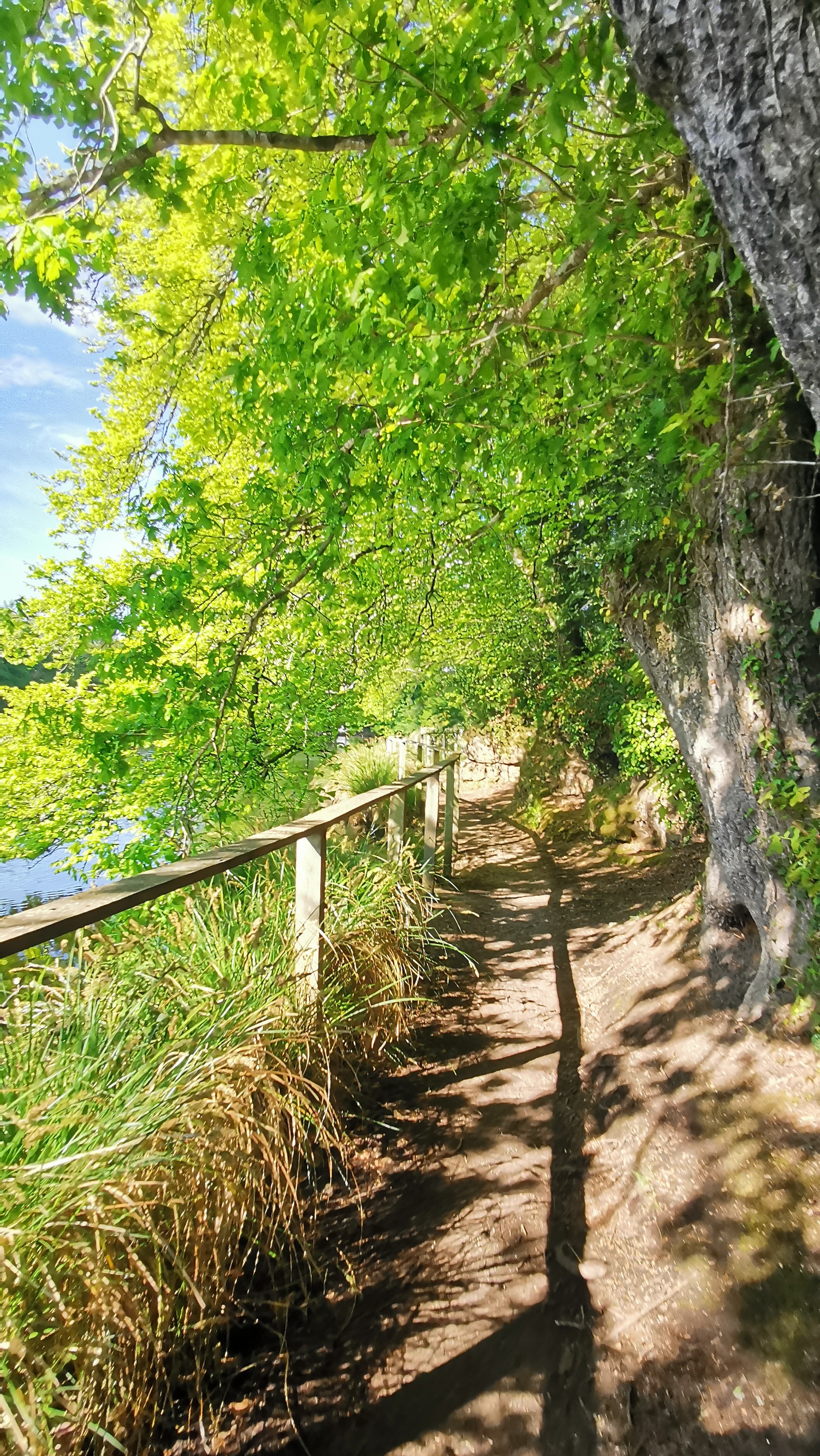 26-IMG_20210501_105115_1