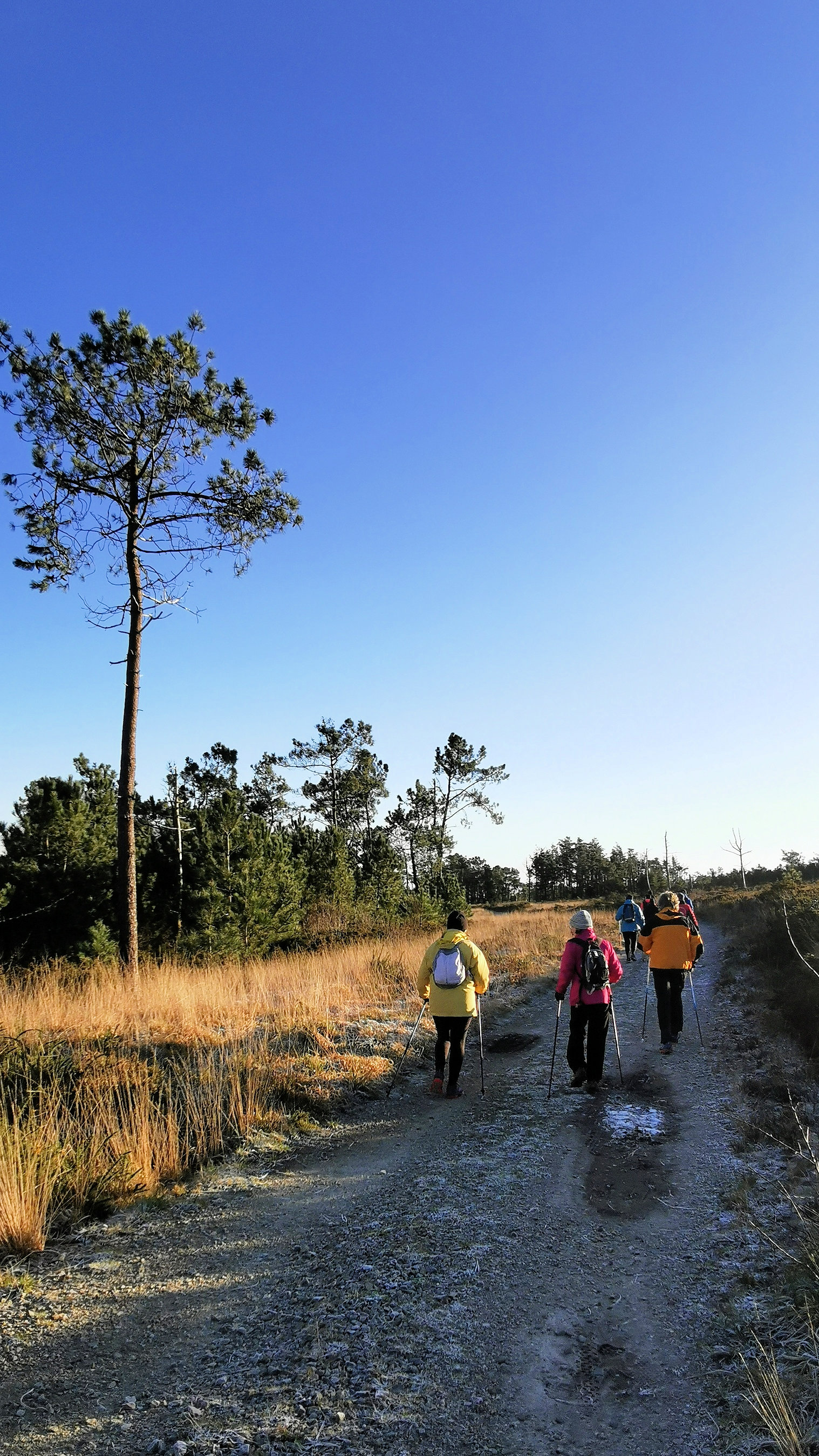 053-IMG_20210110_103846