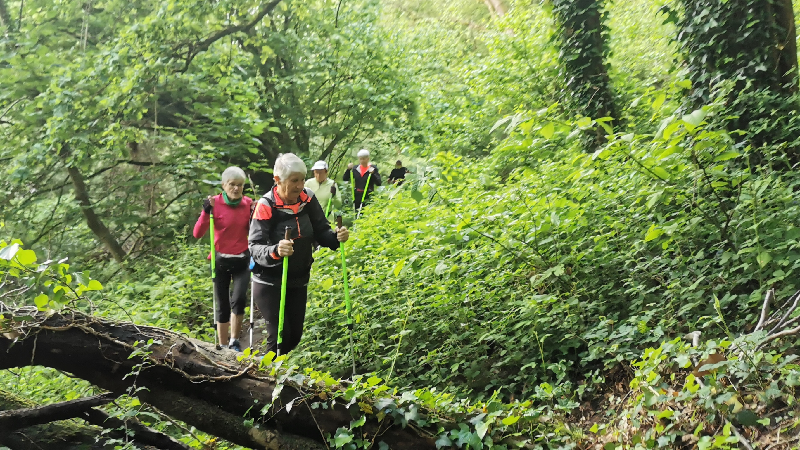 15-IMG_20210518_103137