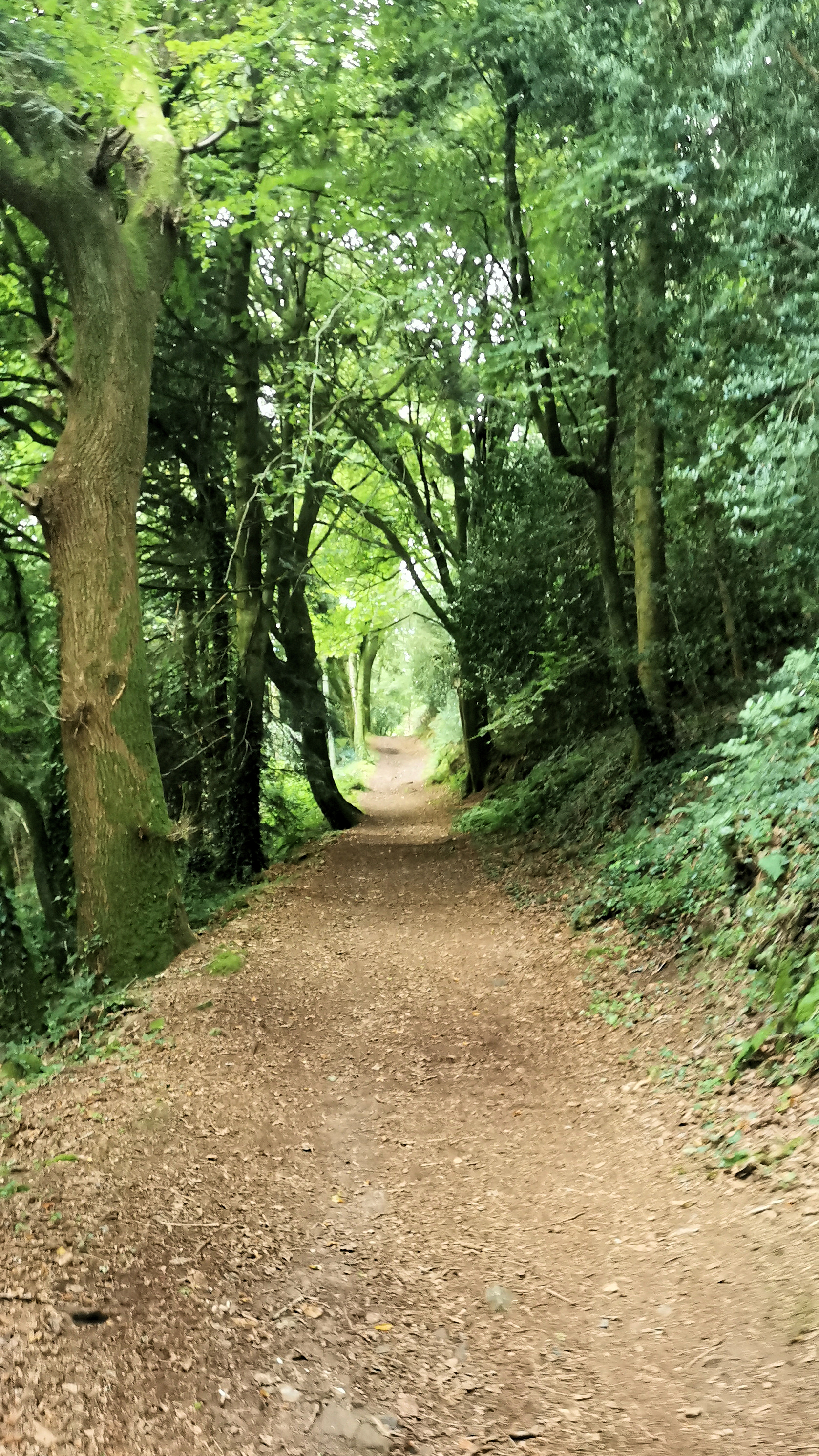 001-IMG_20210816_095340