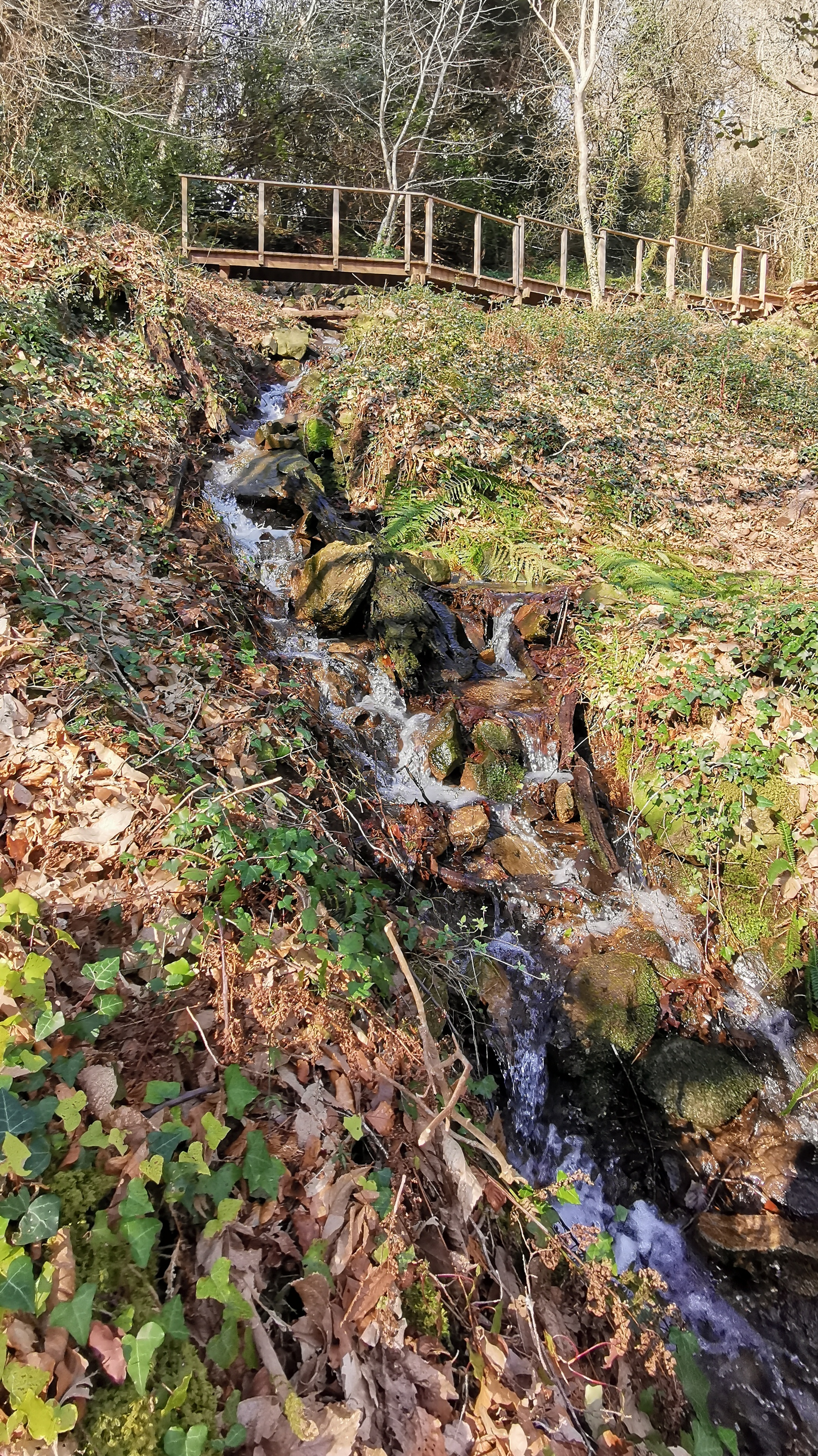 57-IMG_20210308_112043_1