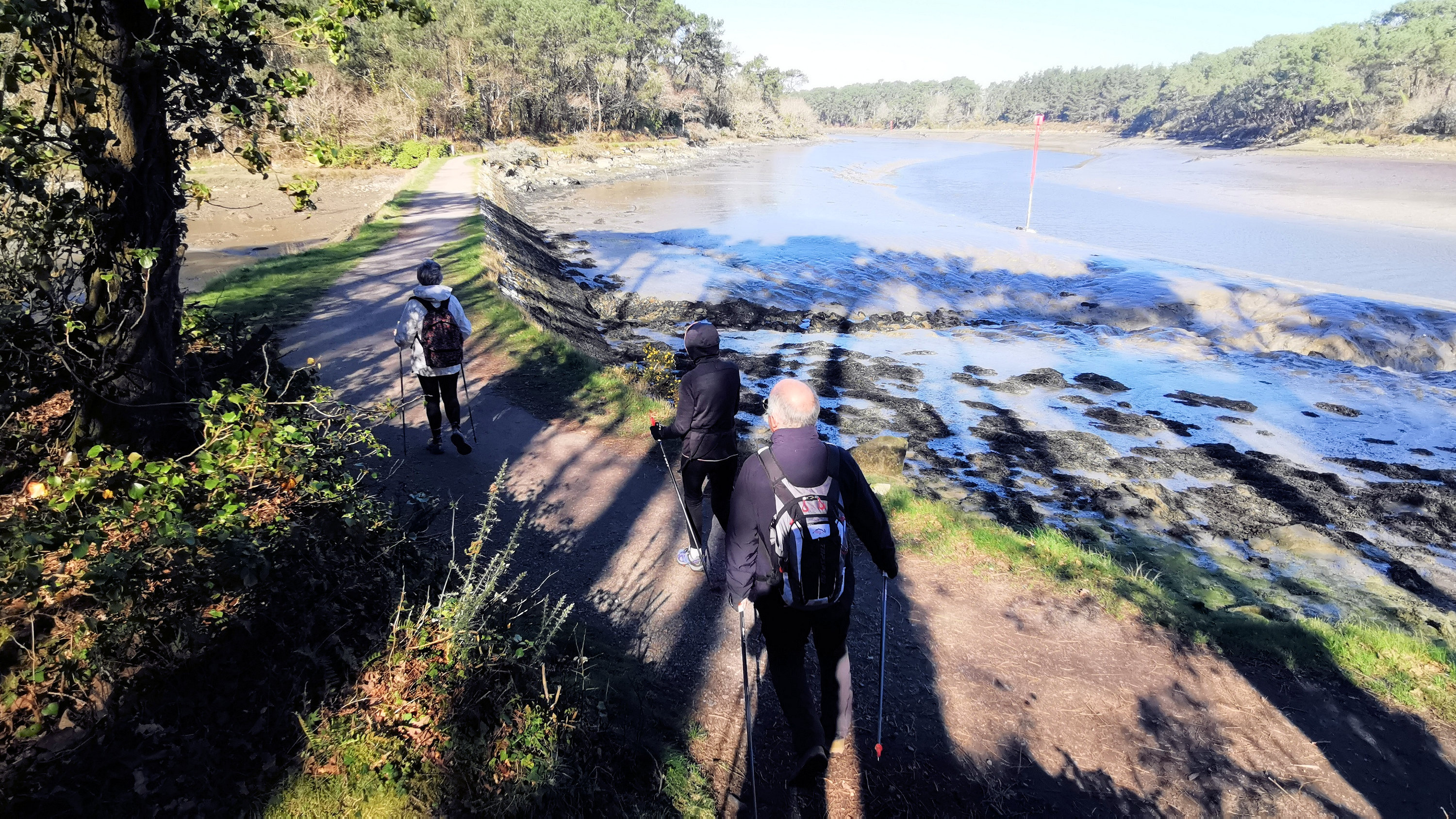 101-IMG_20210228_113535