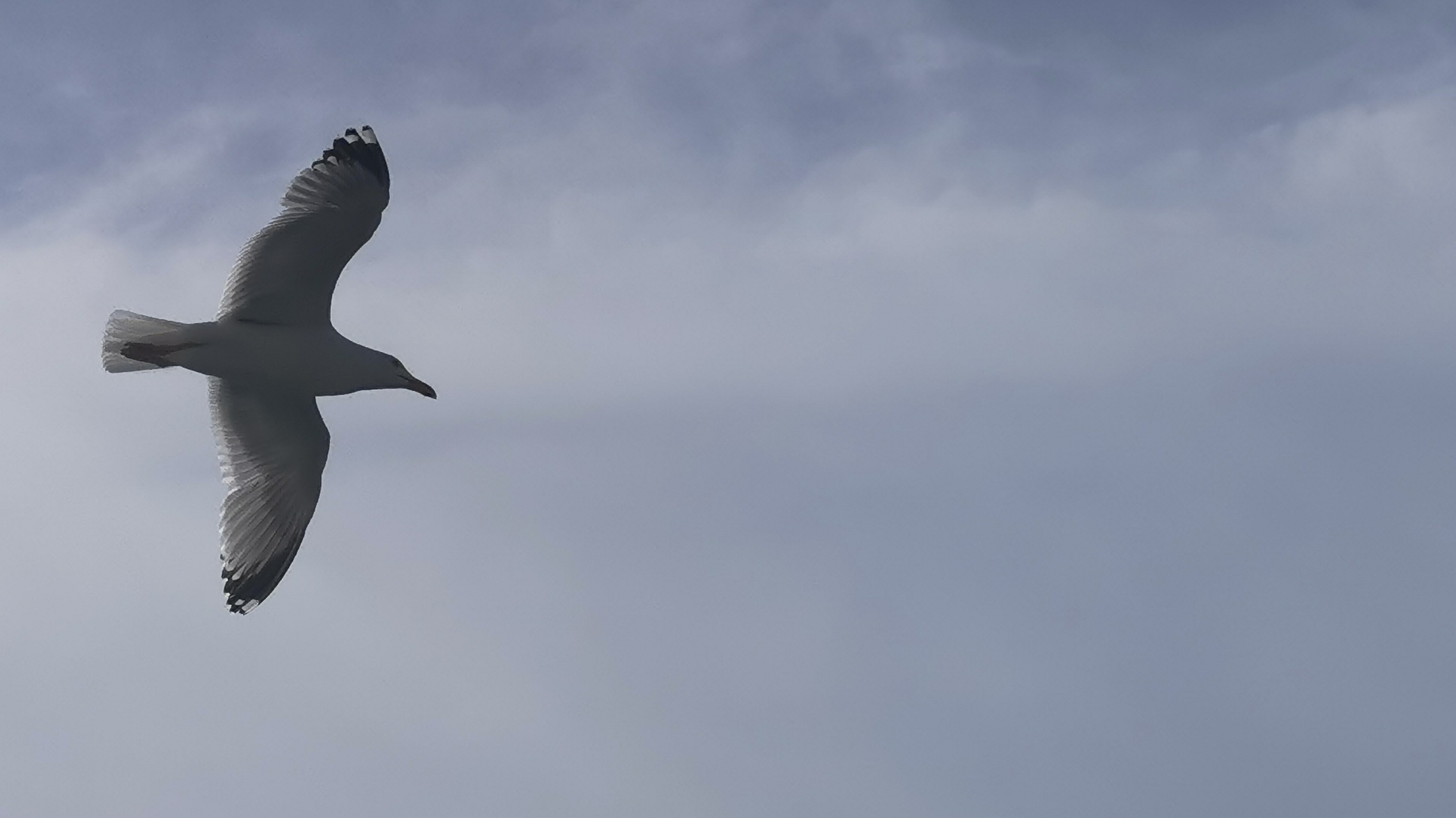 067-IMG_20210506_105357