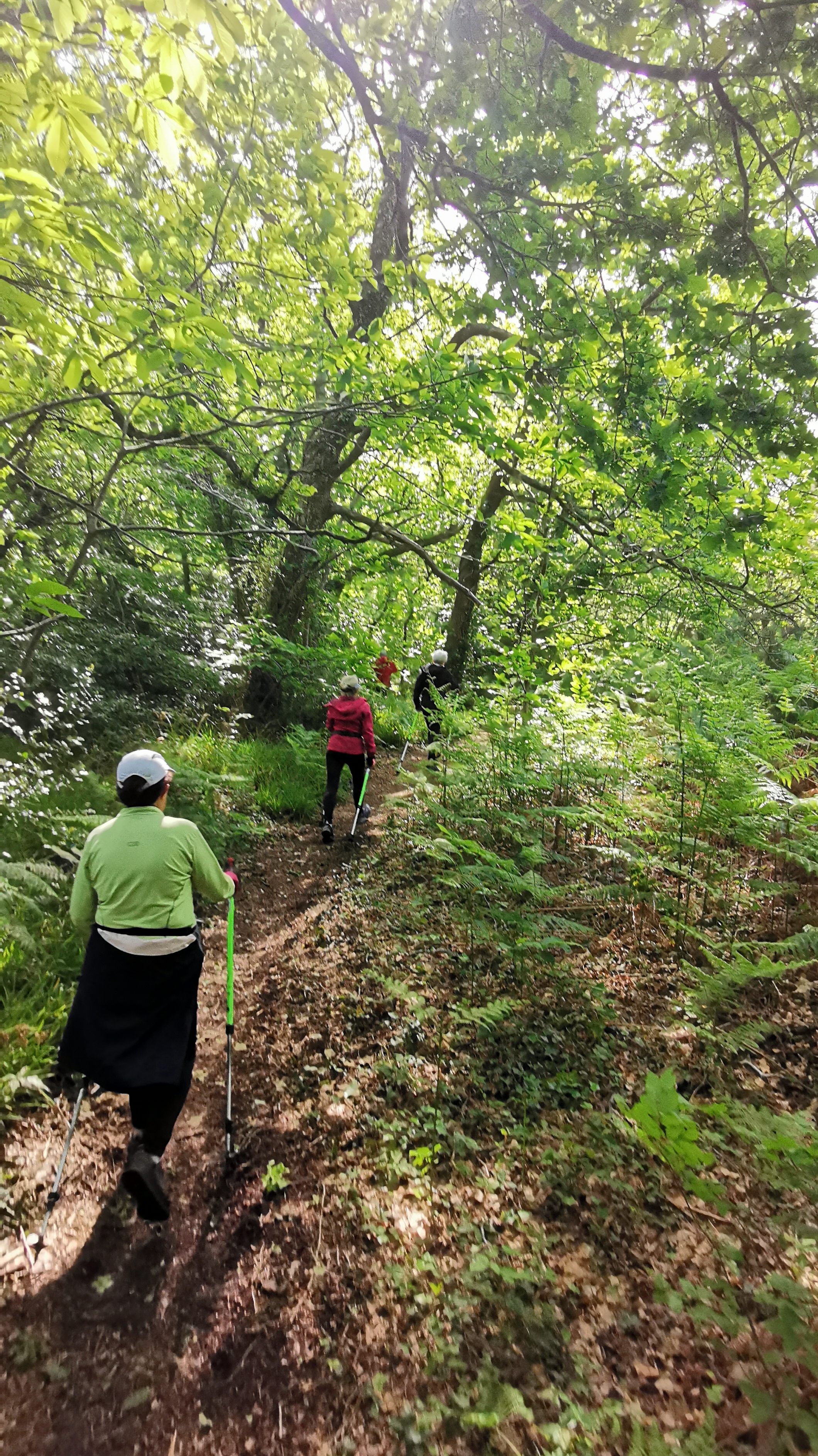 41-IMG_20210525_105551_1