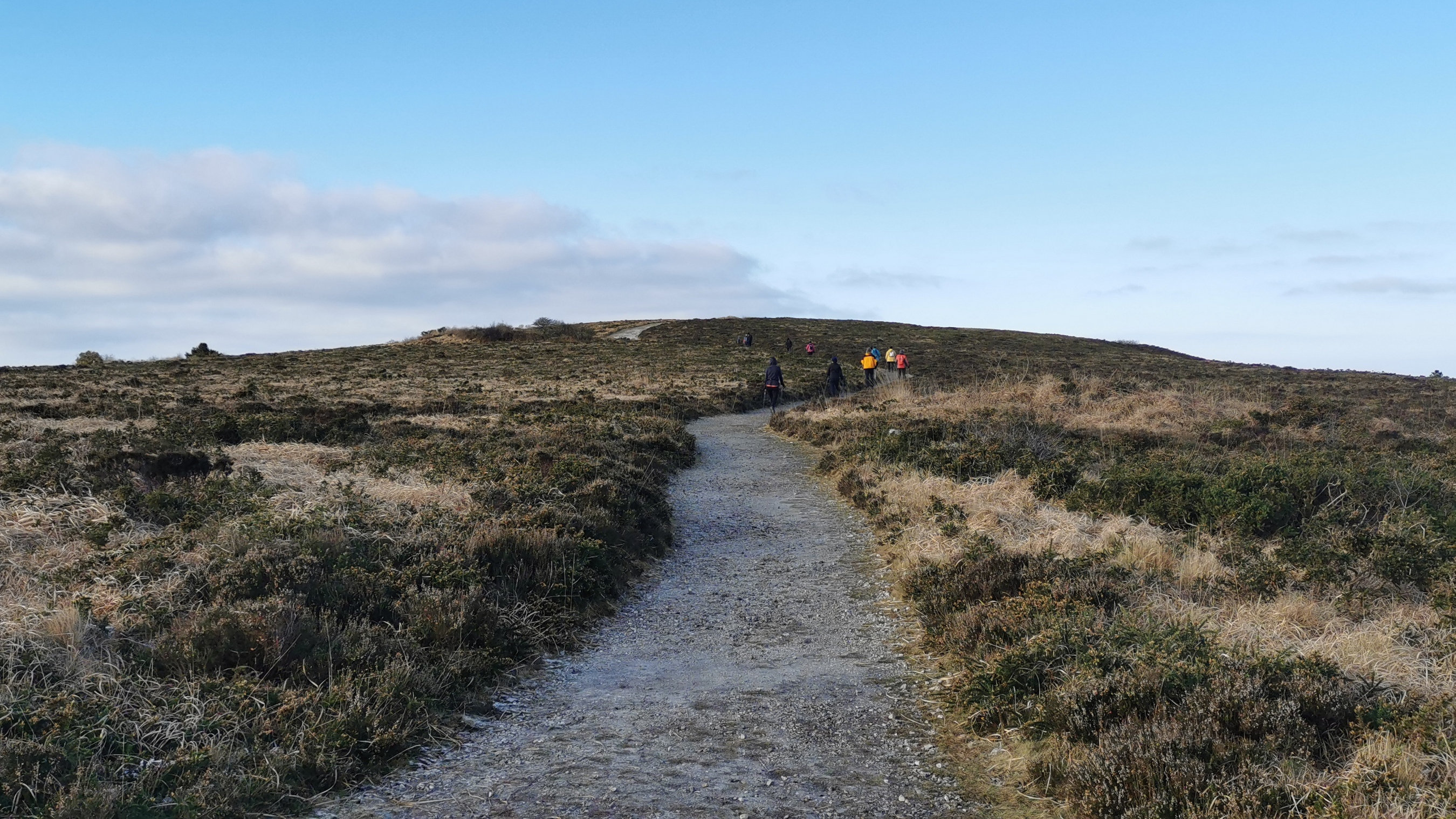 116-IMG_20210110_111218