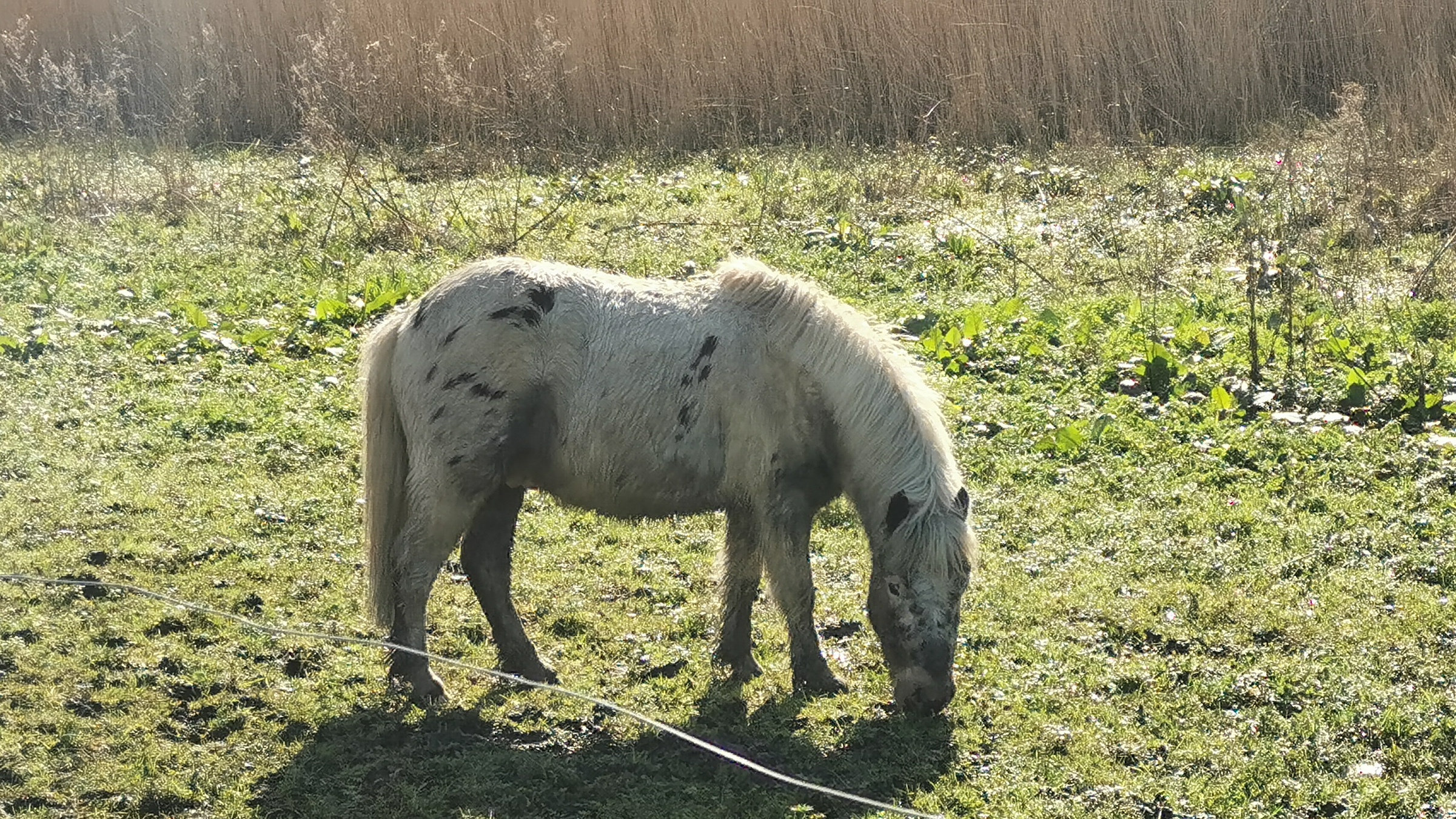 091-IMG_20210222_115836