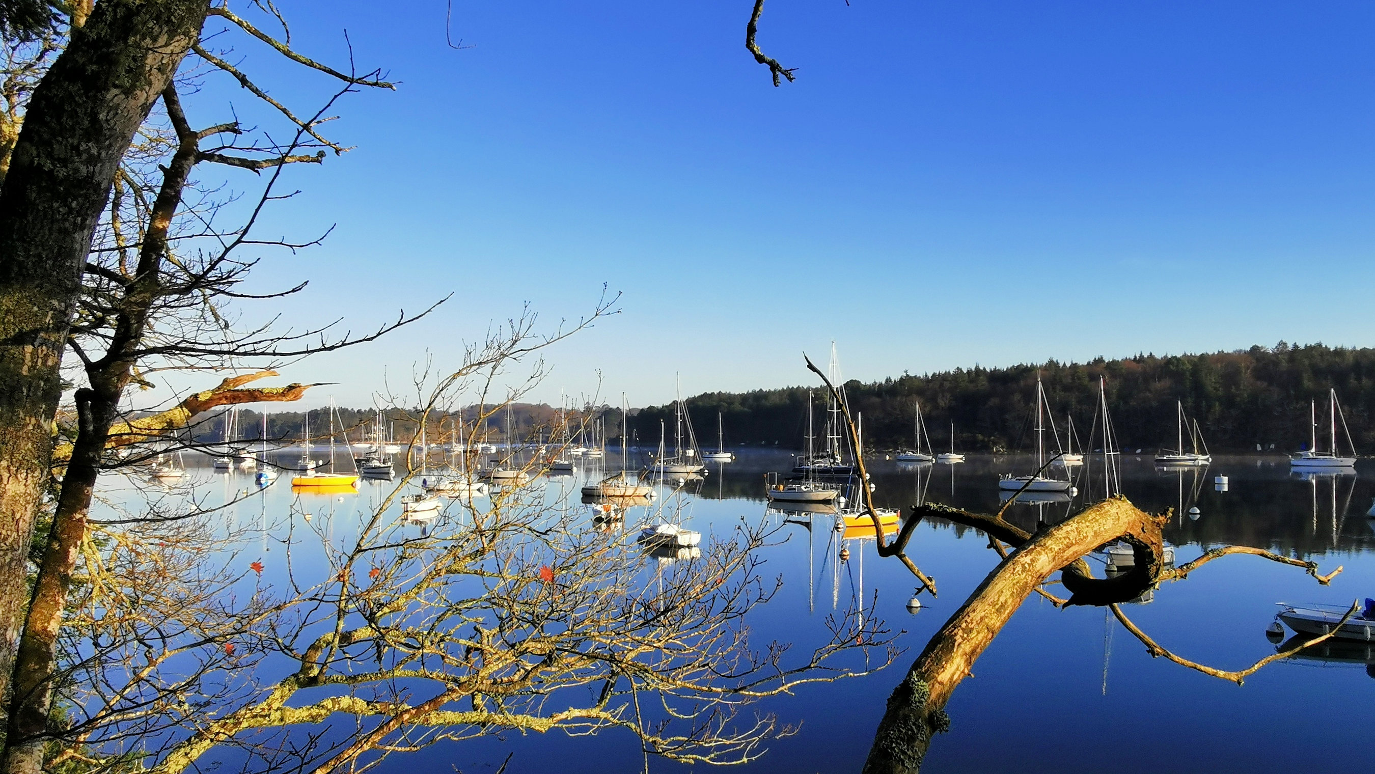 02-IMG_20210206_094143