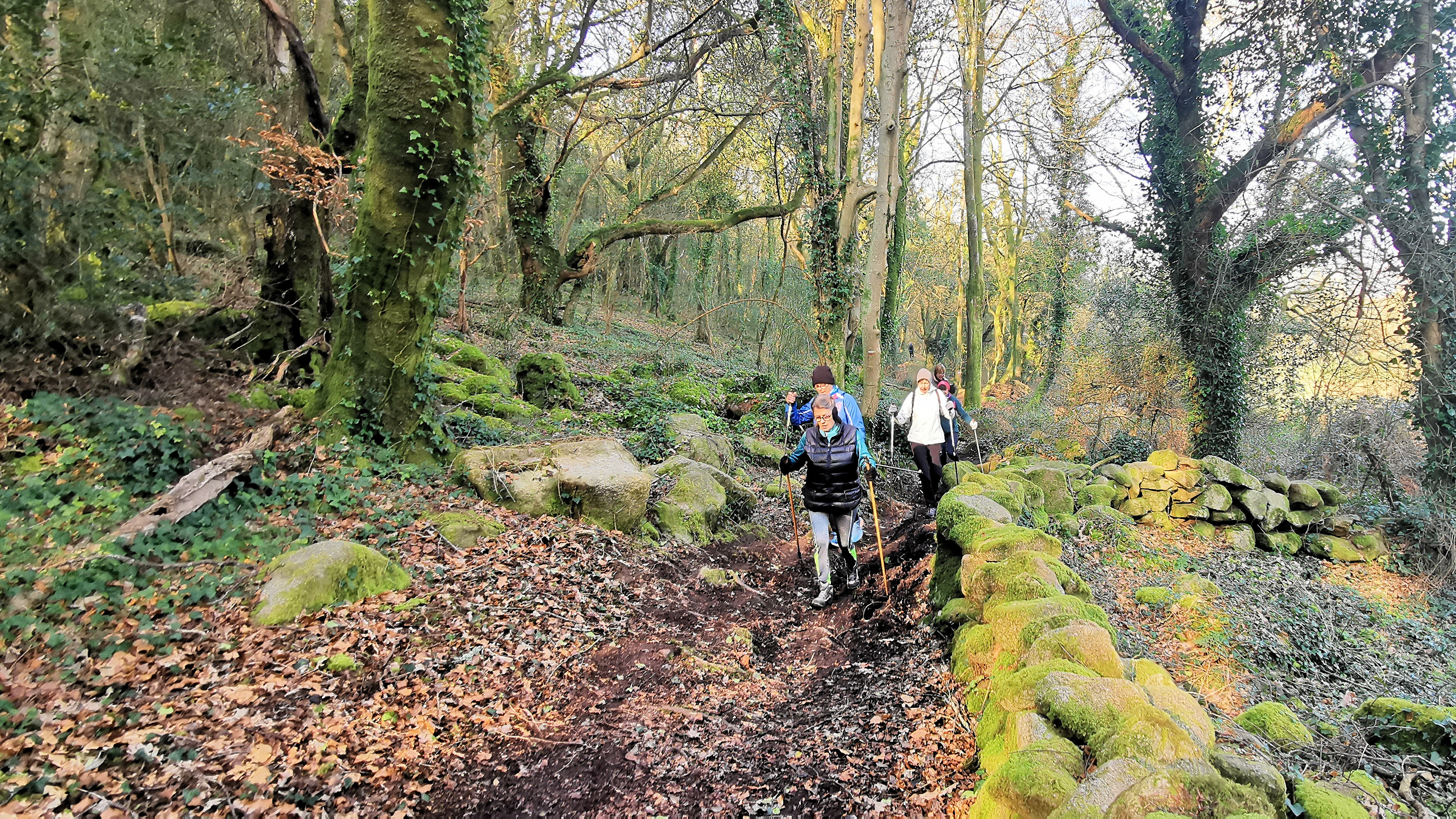 18-IMG_20210307_100836