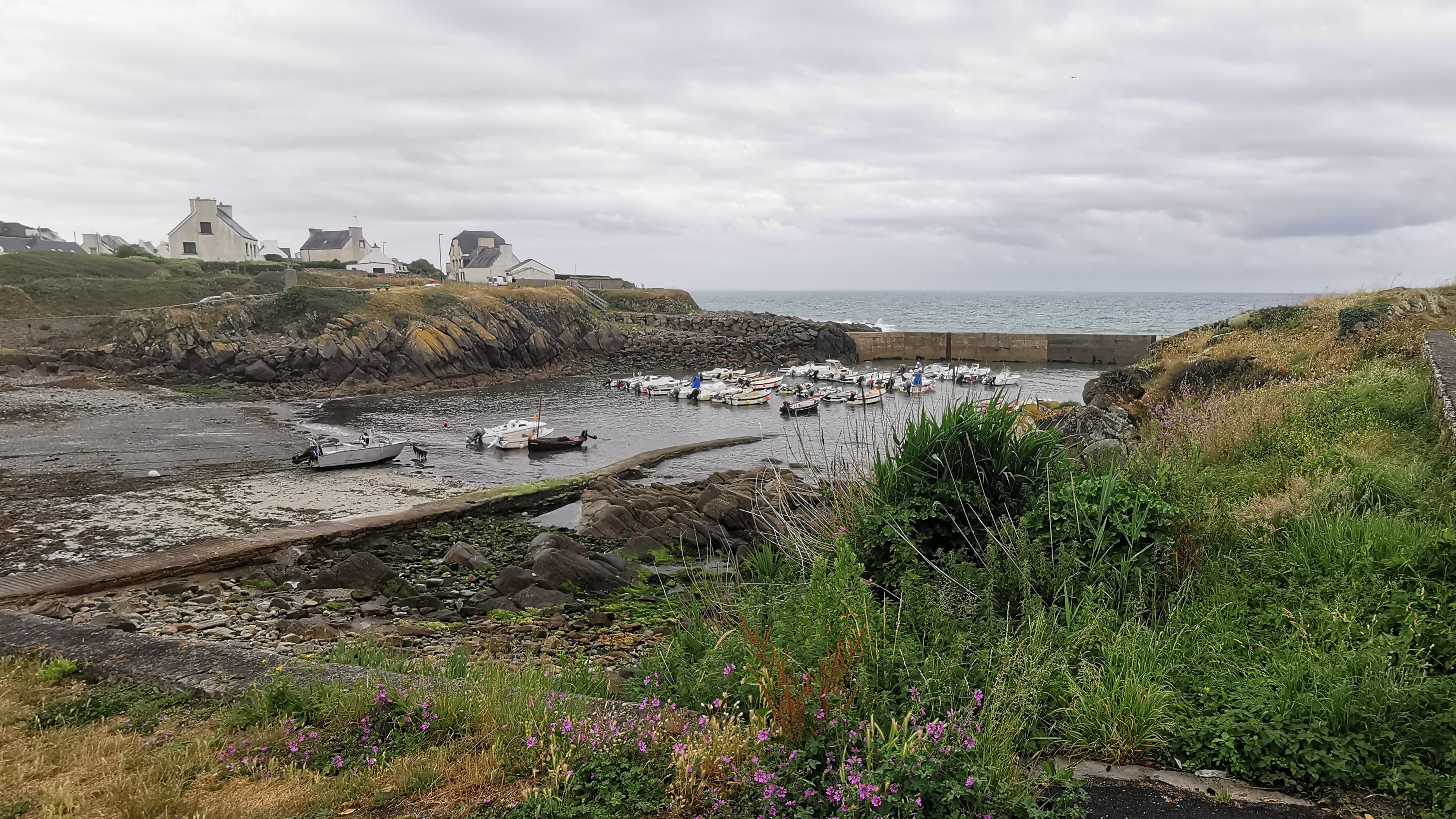 001-IMG_20210620_093833_1