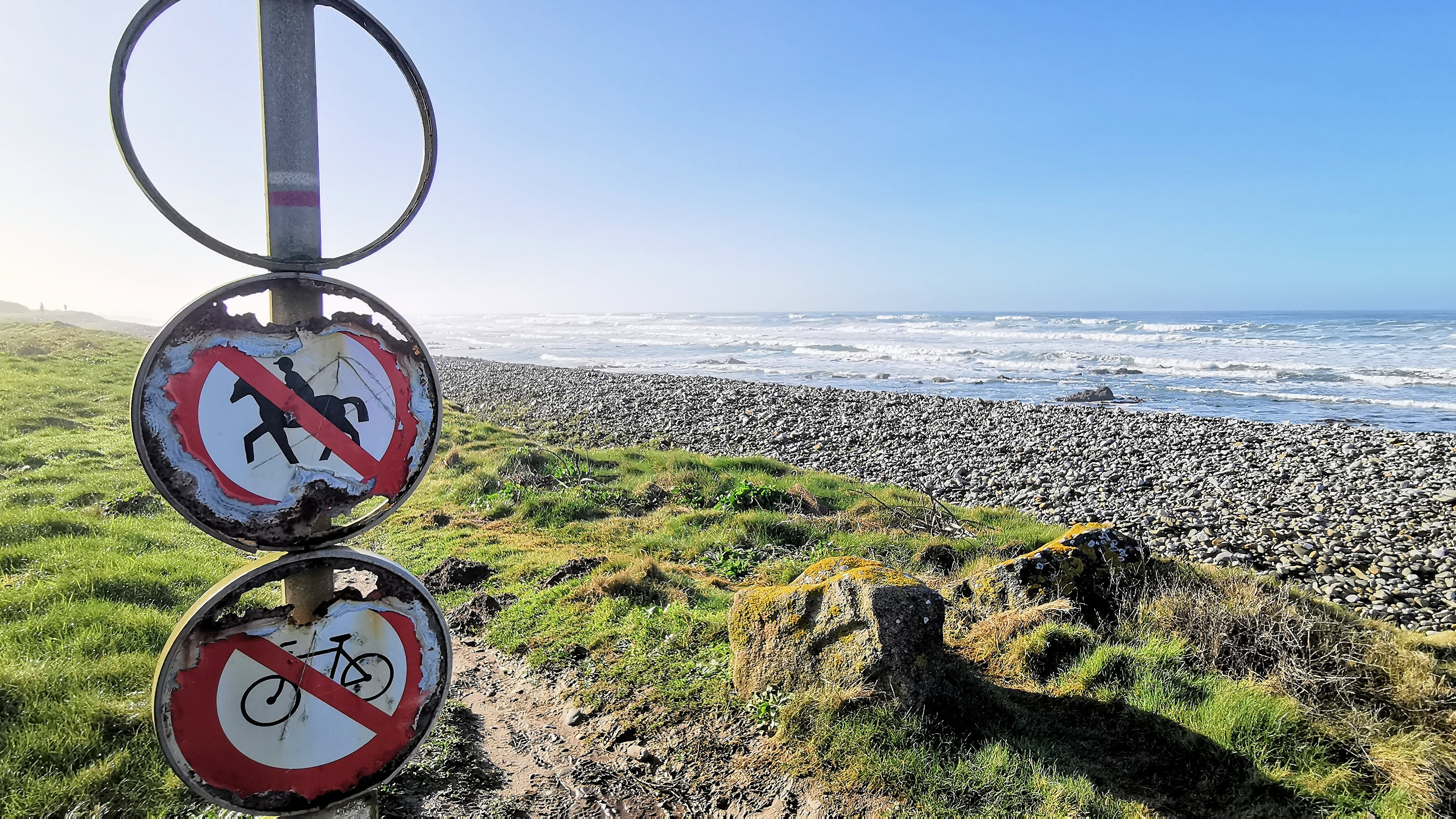 017-IMG_20210222_103636_1