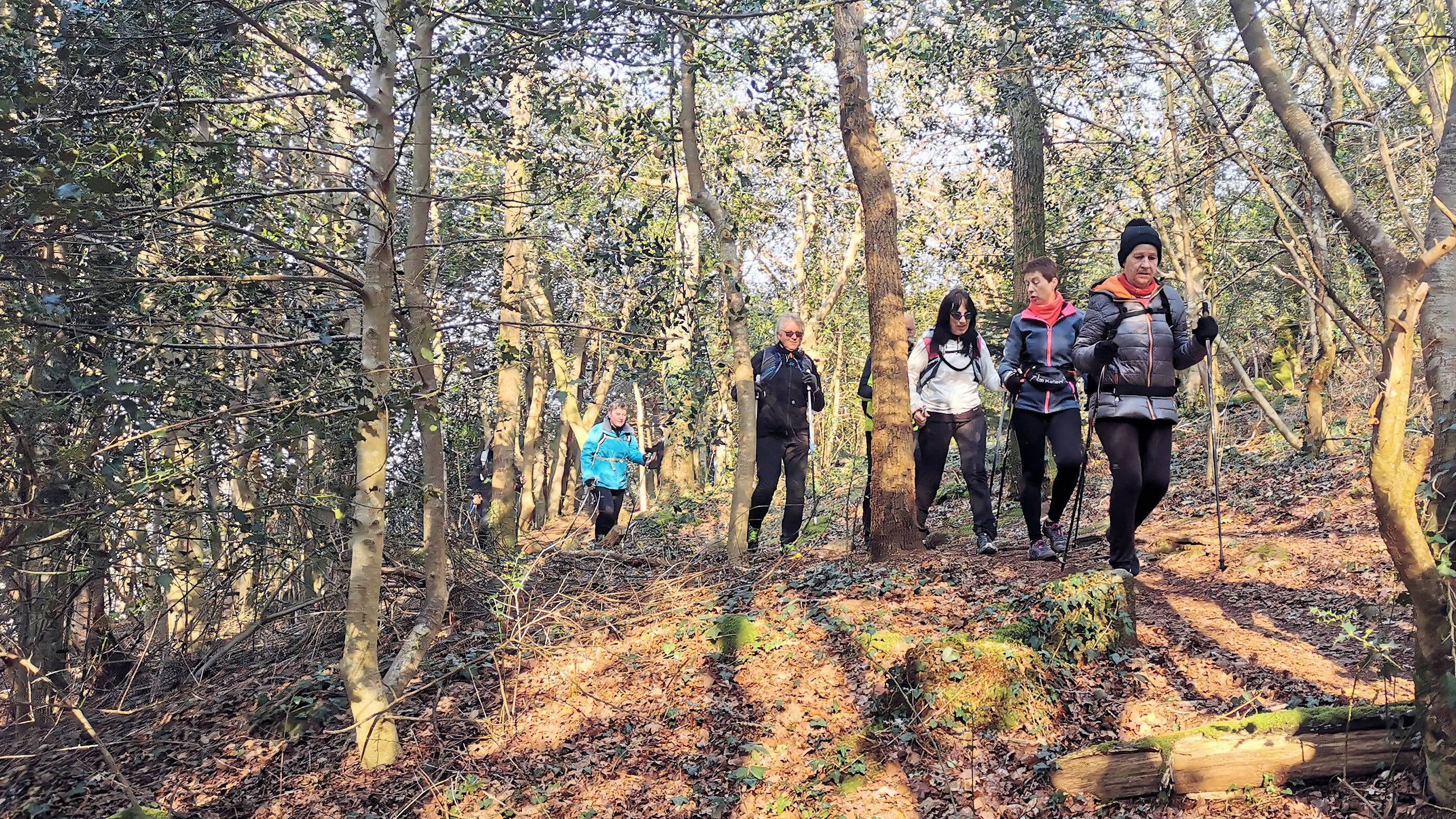 38-IMG_20210307_103431_1