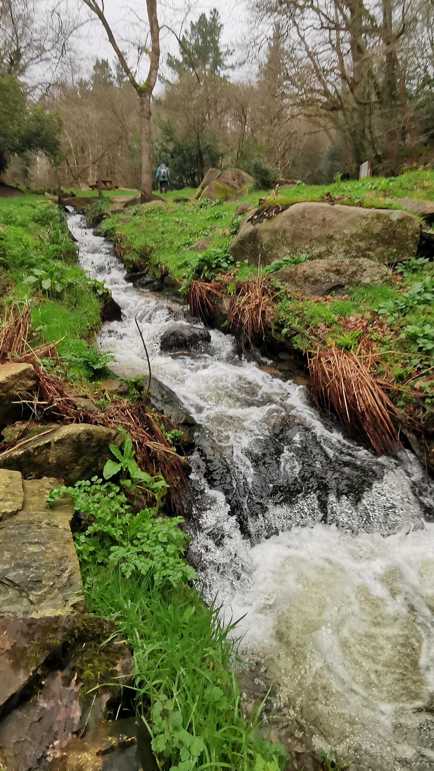 105-IMG_20210220_115519