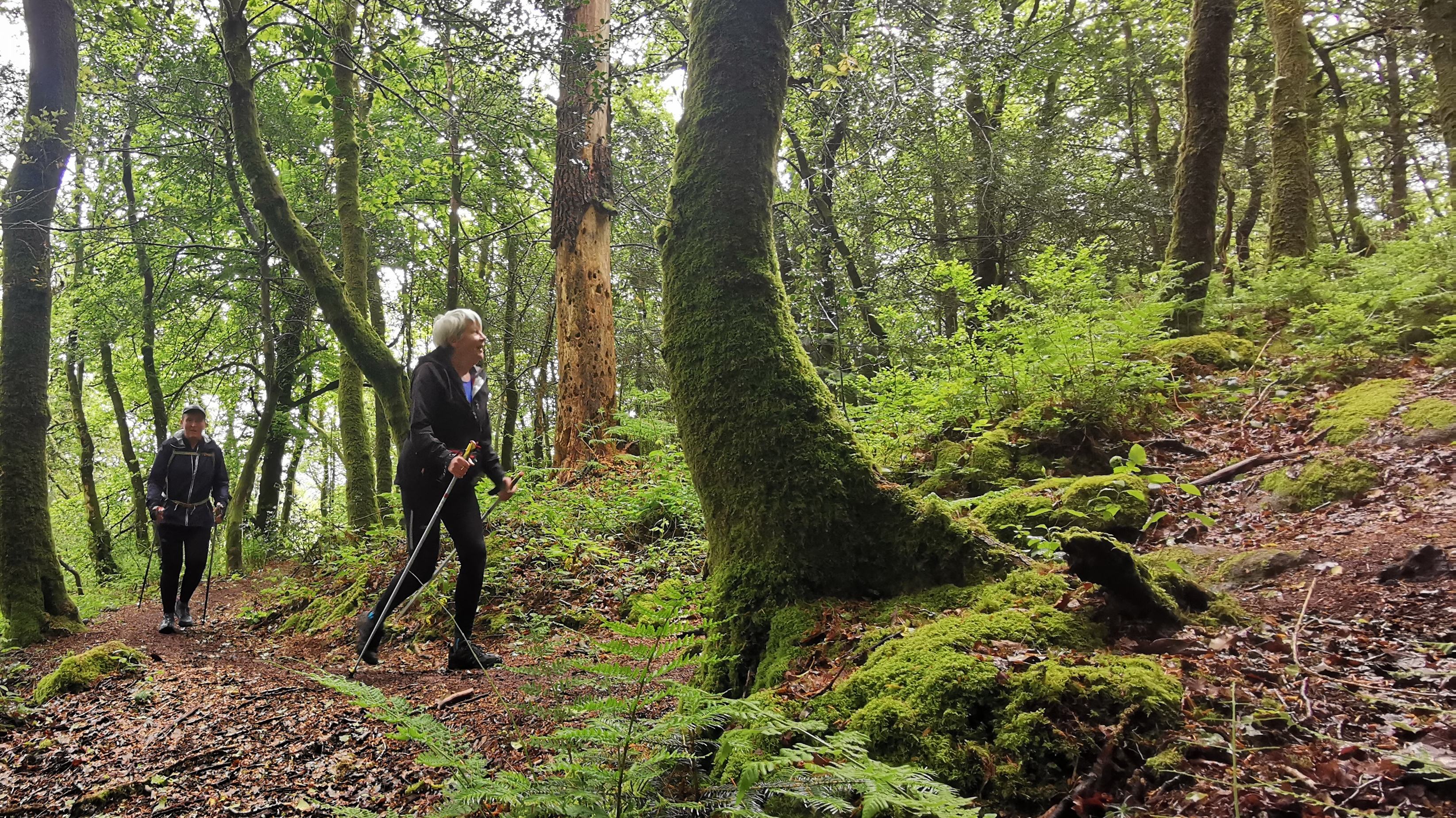 117-IMG_20210513_113012