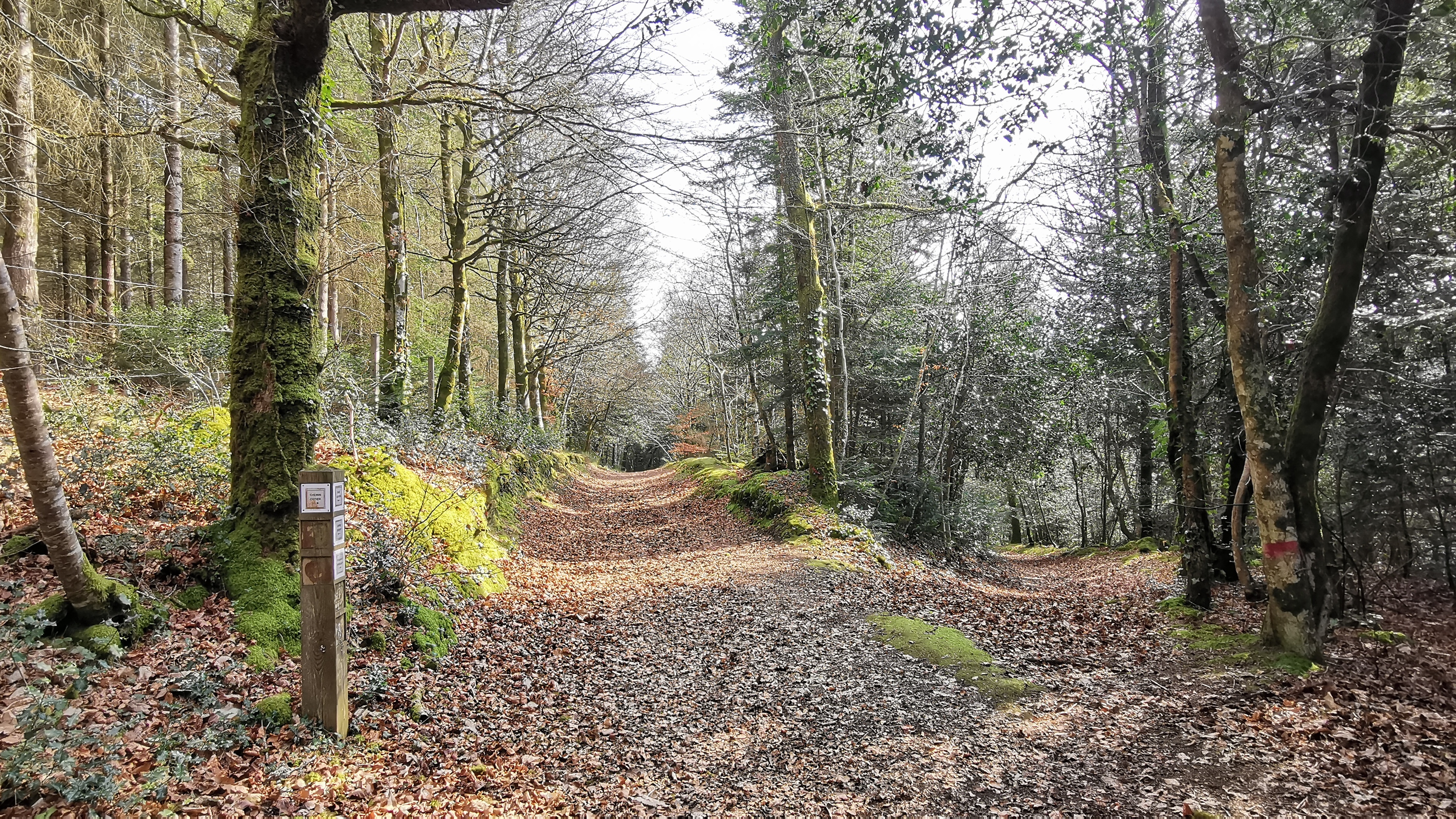 70-IMG_20210308_113943