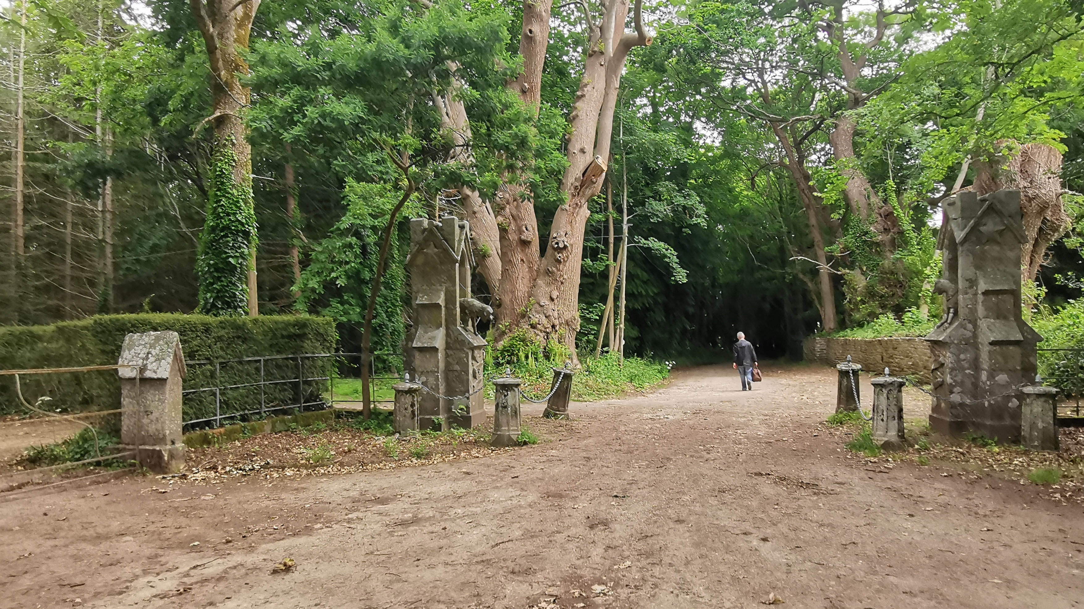 070-IMG_20210606_110129