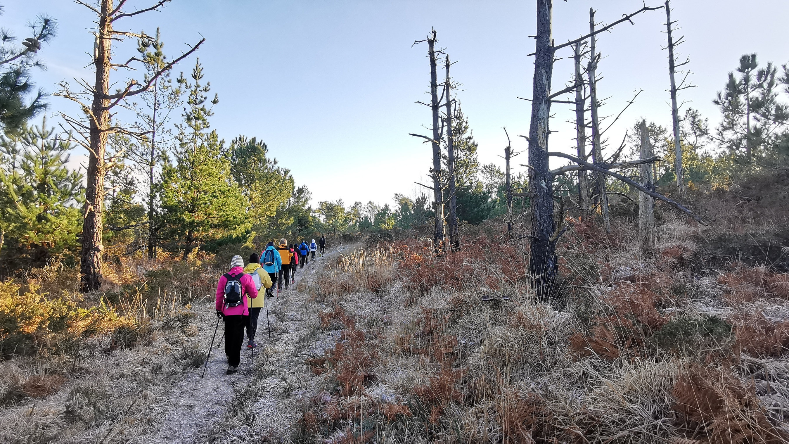 076-IMG_20210110_104749