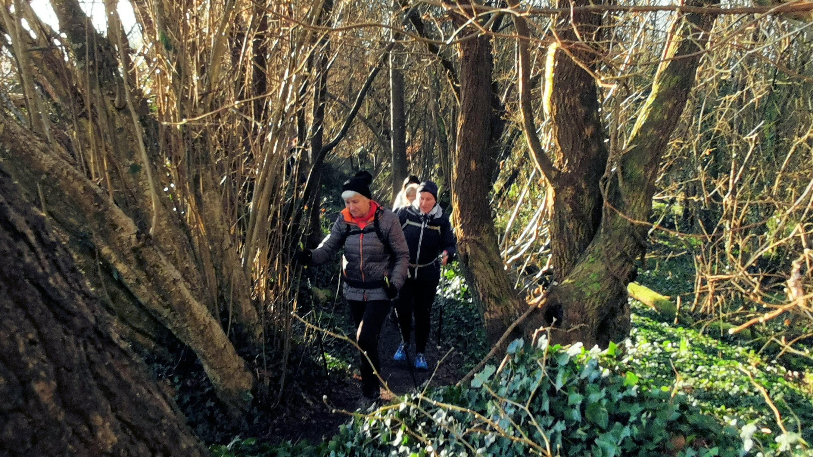 17-IMG_20210207_100108