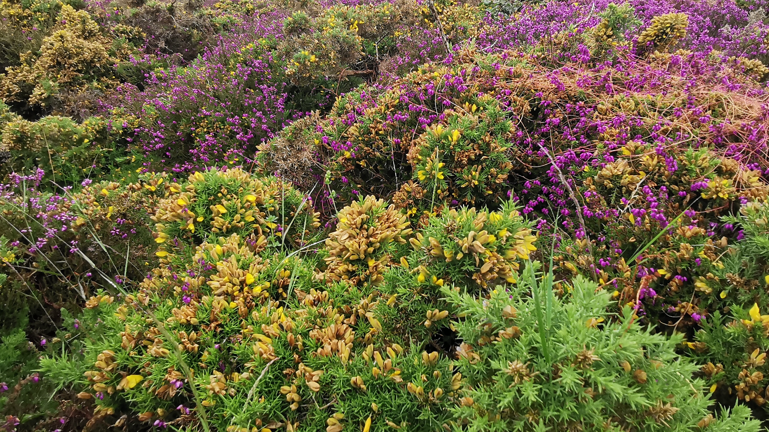 170-IMG_20210620_114944