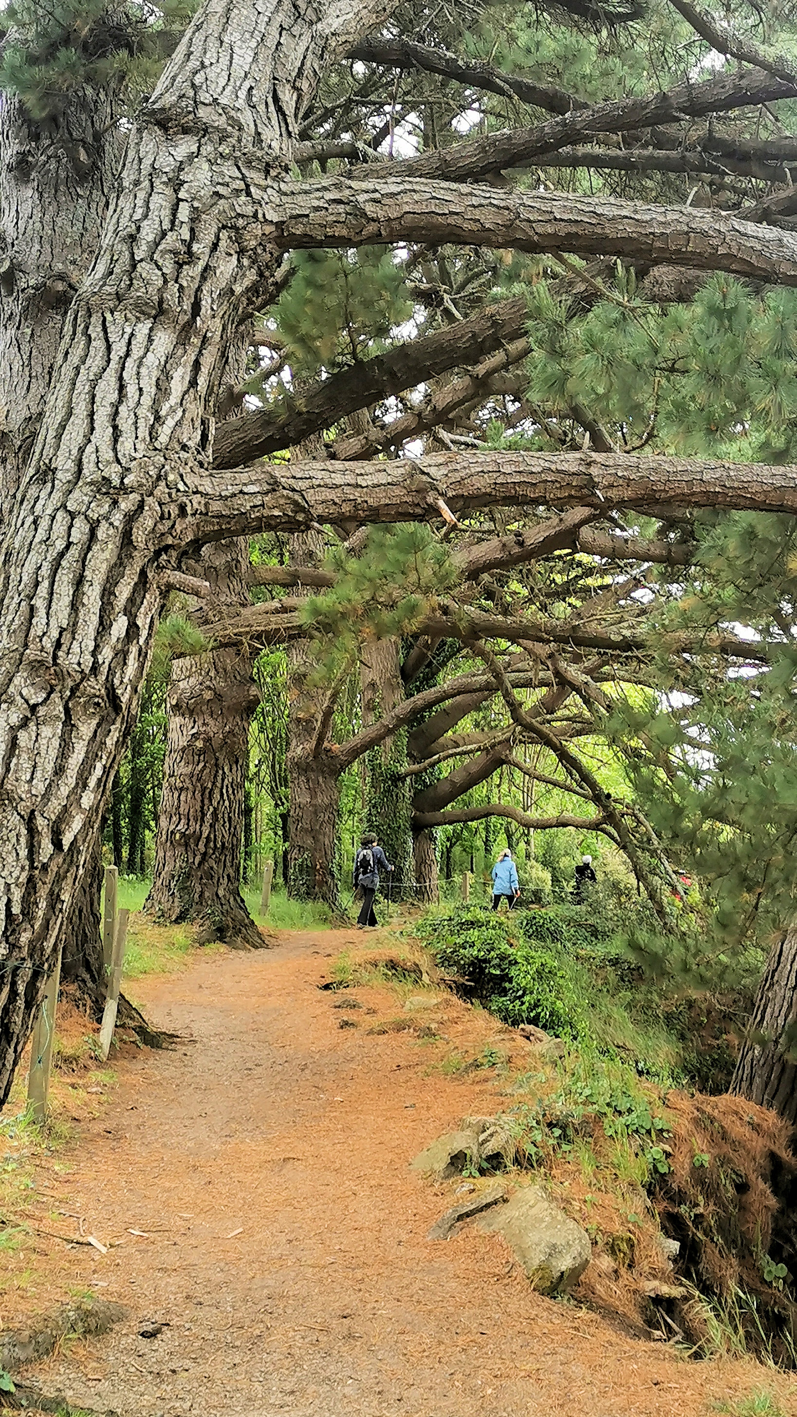 23-IMG_20210520_100158