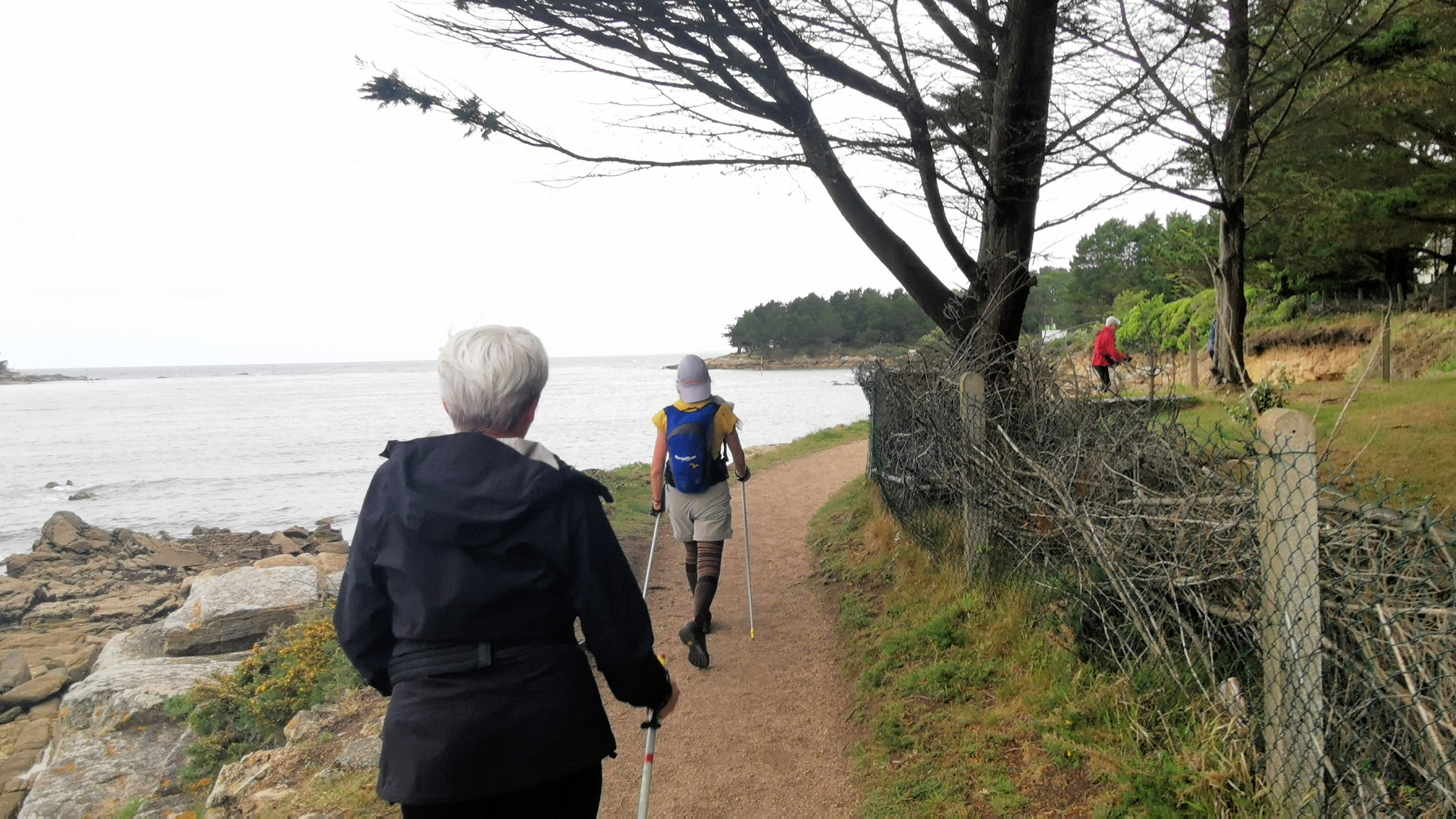 68-IMG_20210520_104524_1