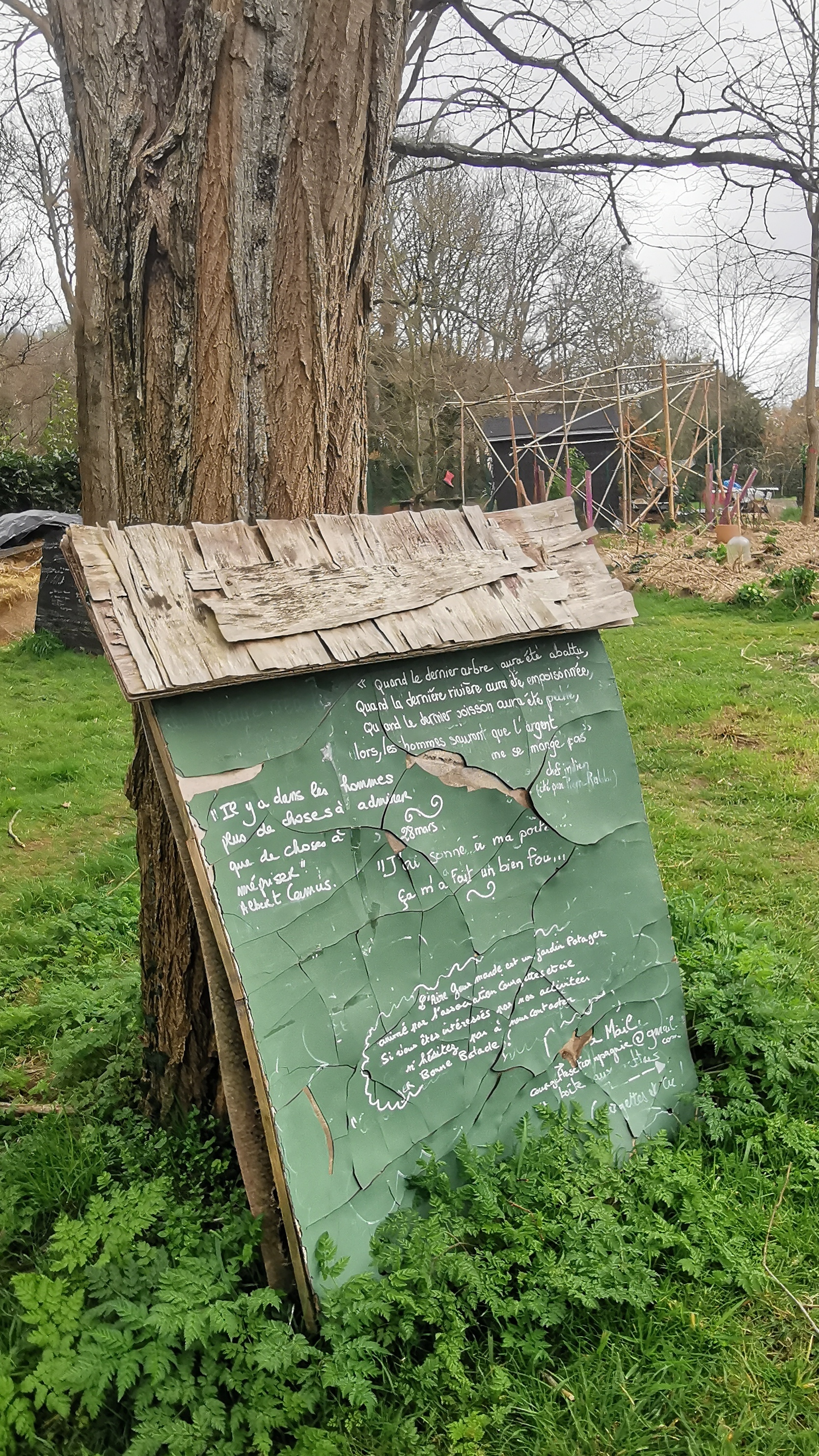 54-IMG_20210316_112231