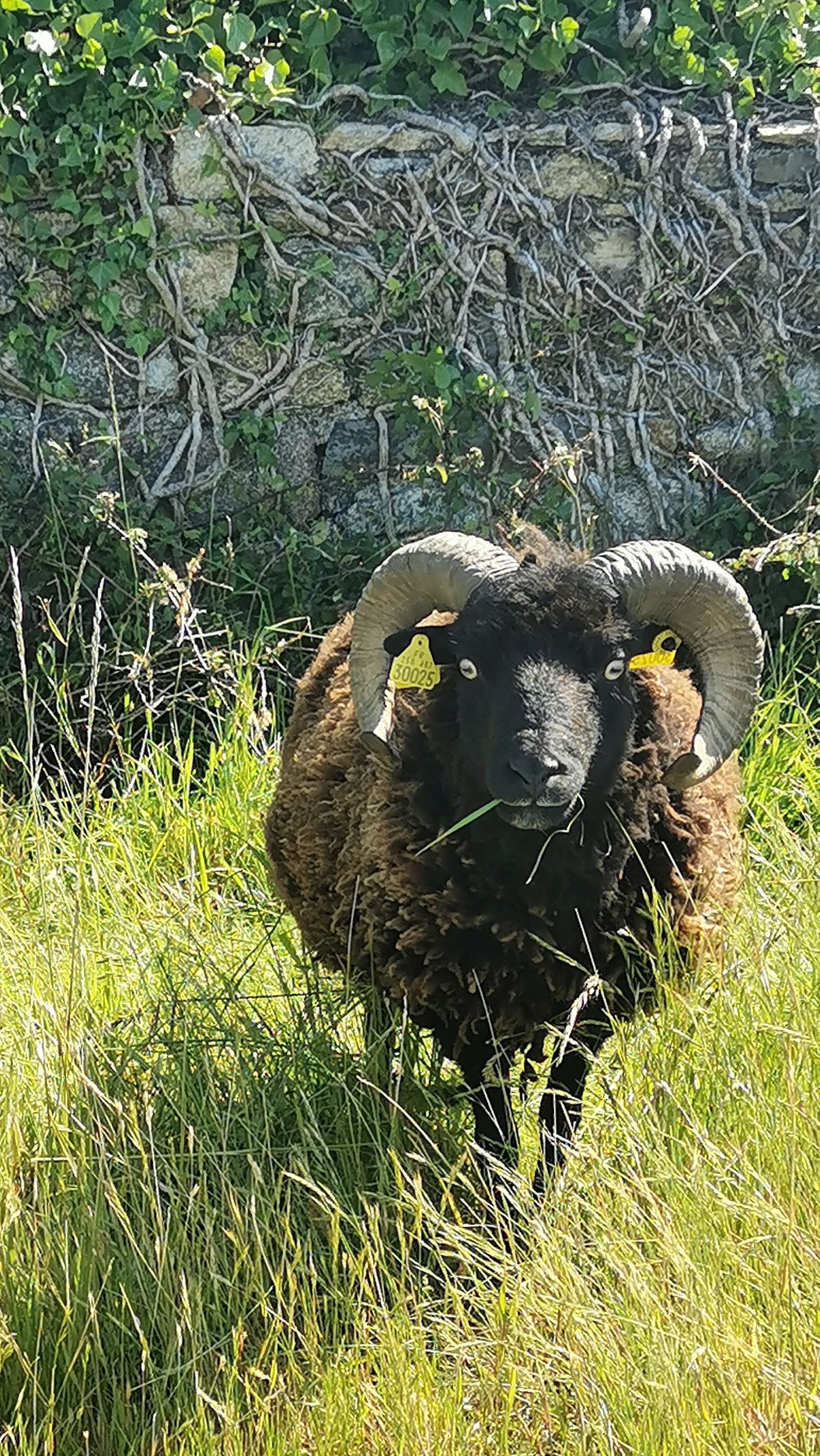 66-IMG_20210530_114257