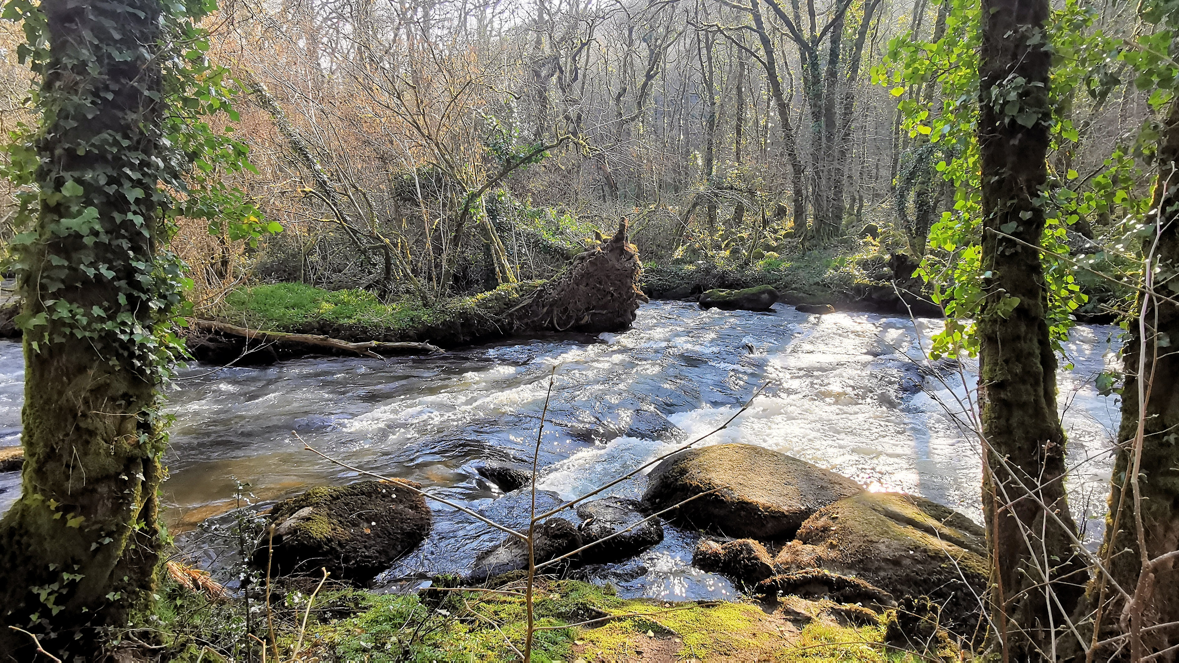 65-IMG_20210307_104708