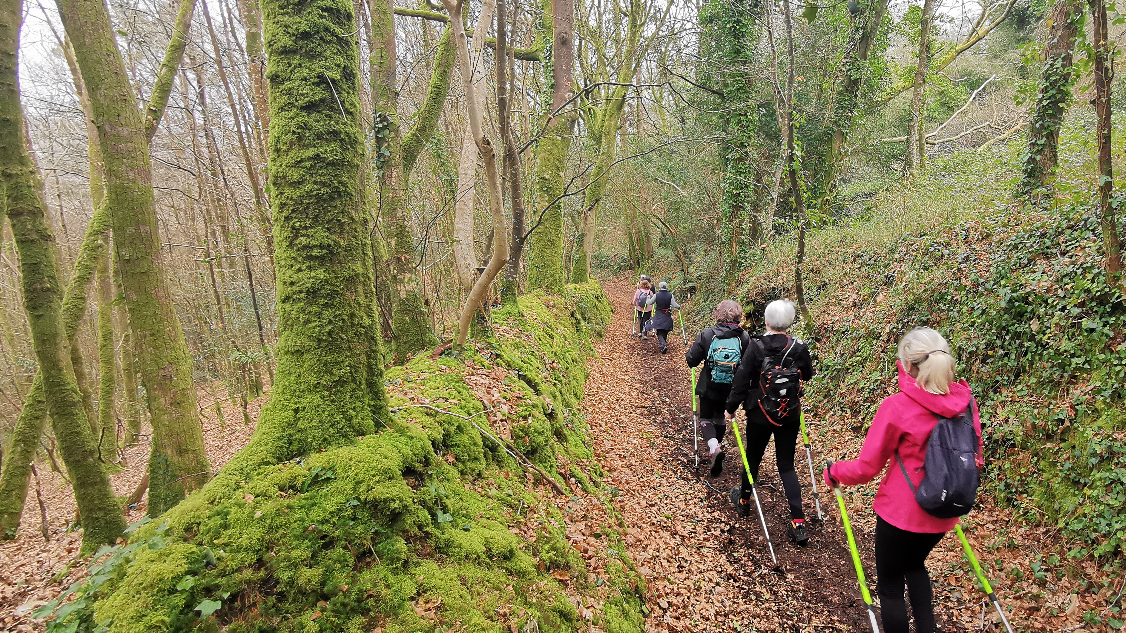 35-IMG_20210316_104556_1