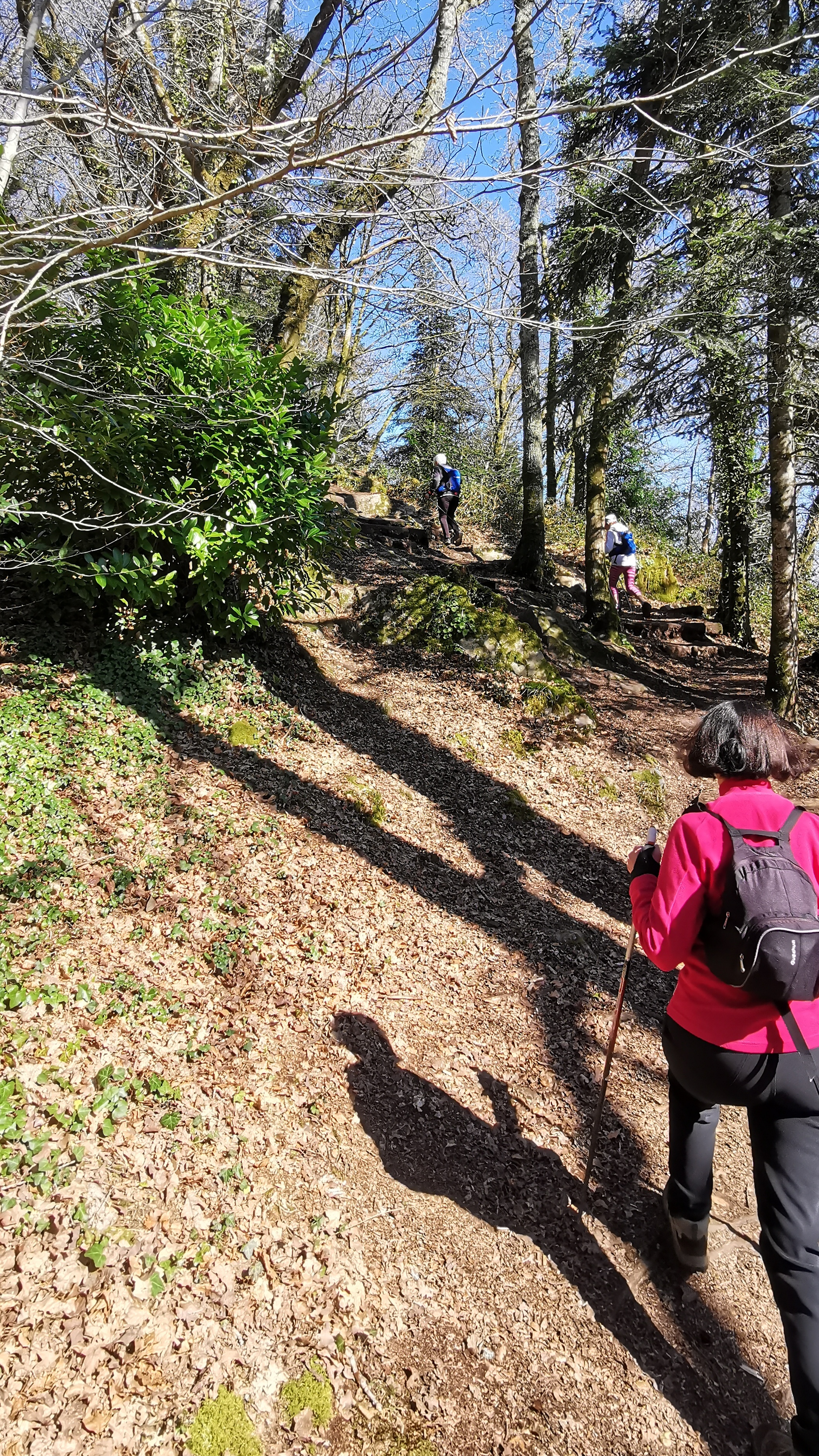 51-IMG_20210320_113243