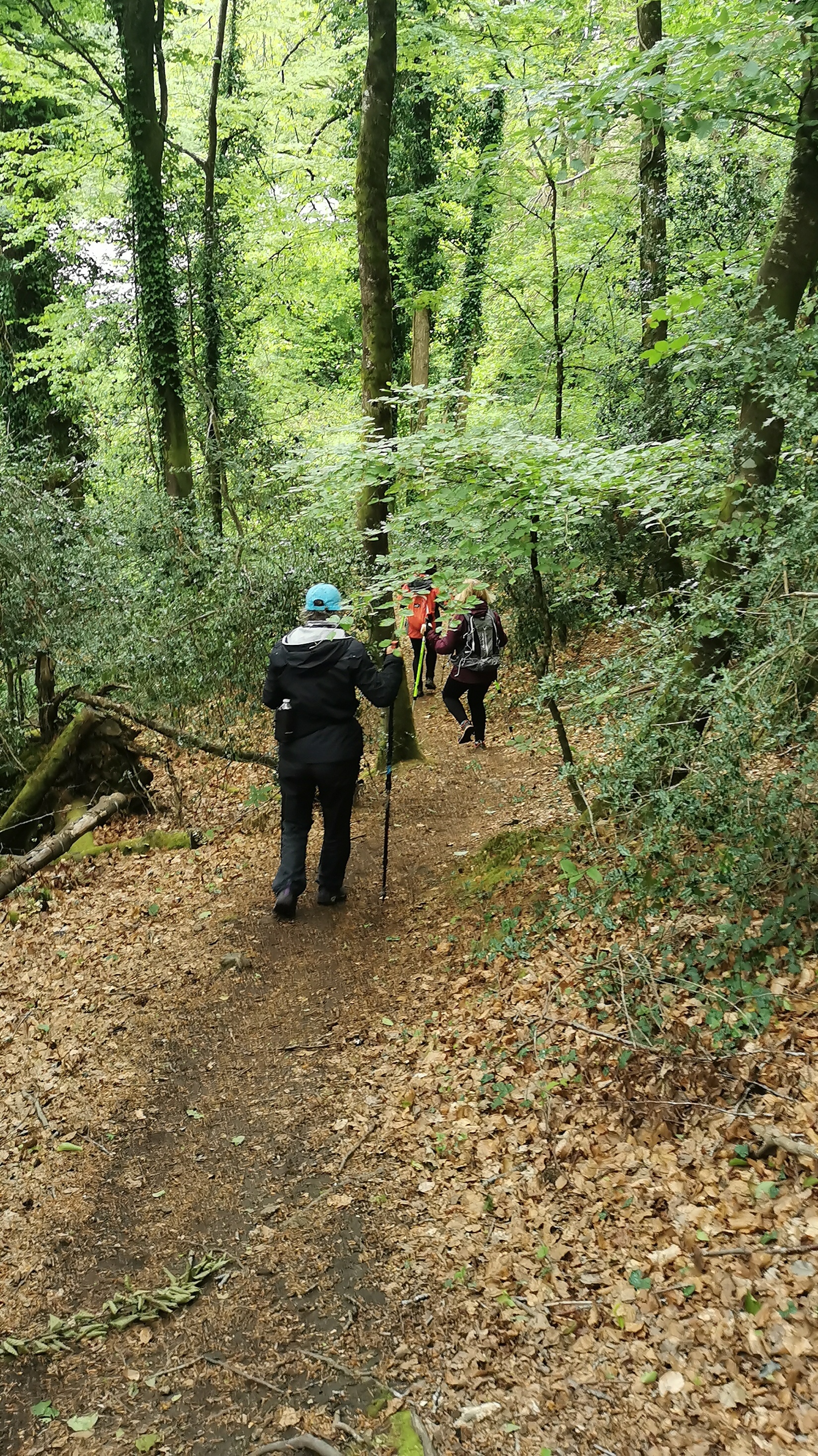 11-IMG_20210507_172825_1