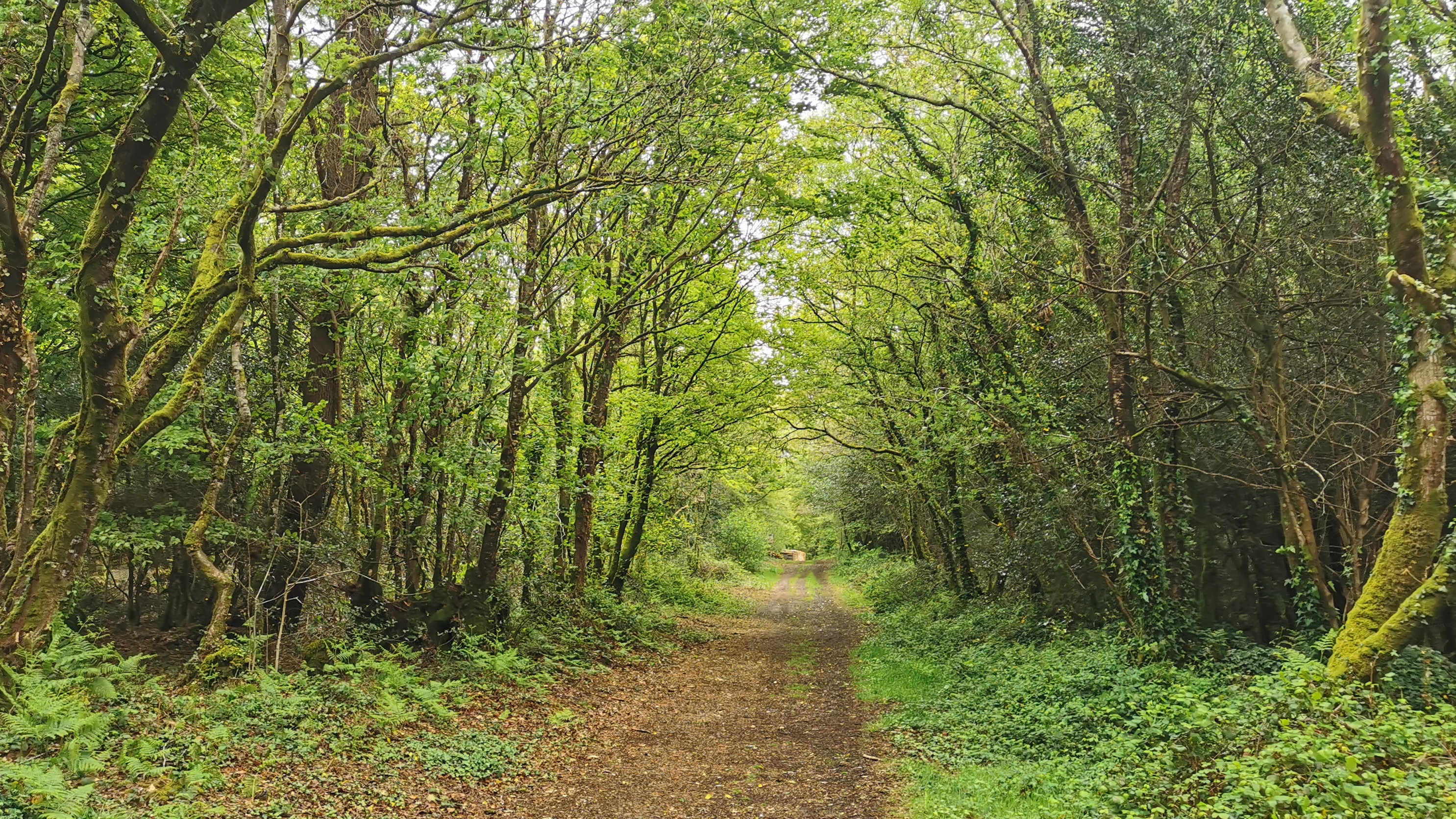 25-IMG_20210508_103321_1