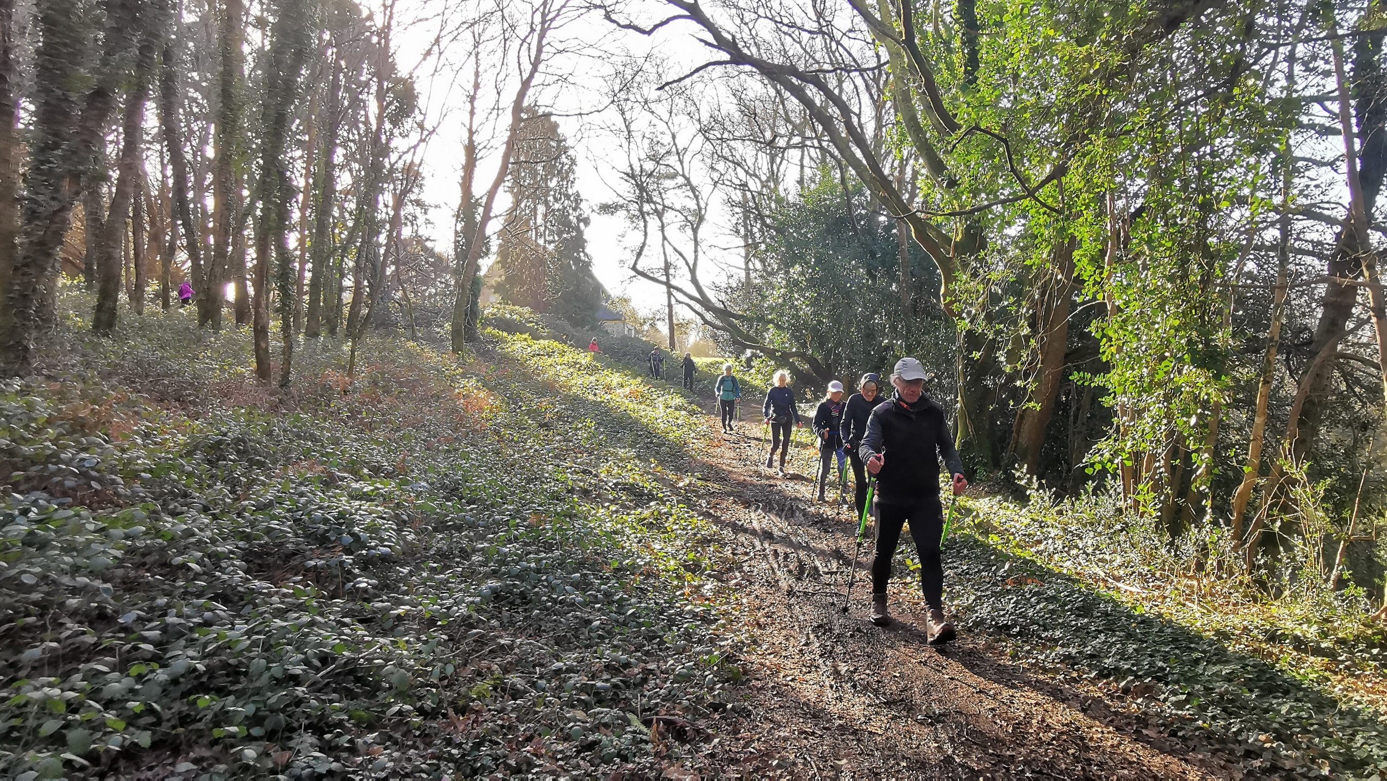 16-IMG_20210223_101650