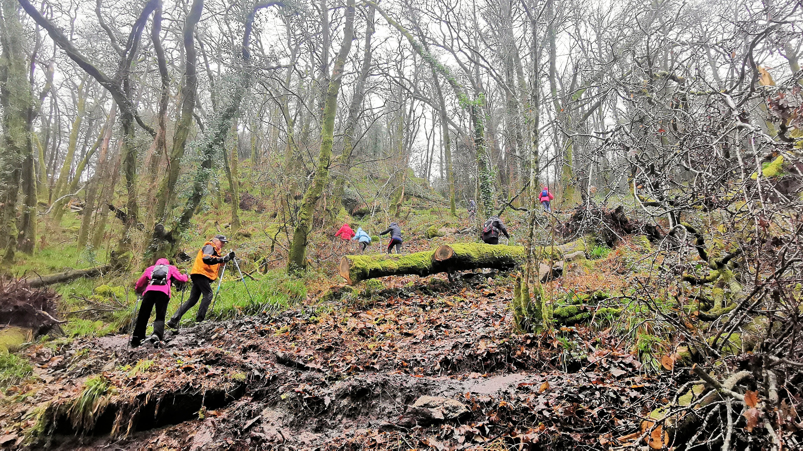 56-IMG_20210121_112929