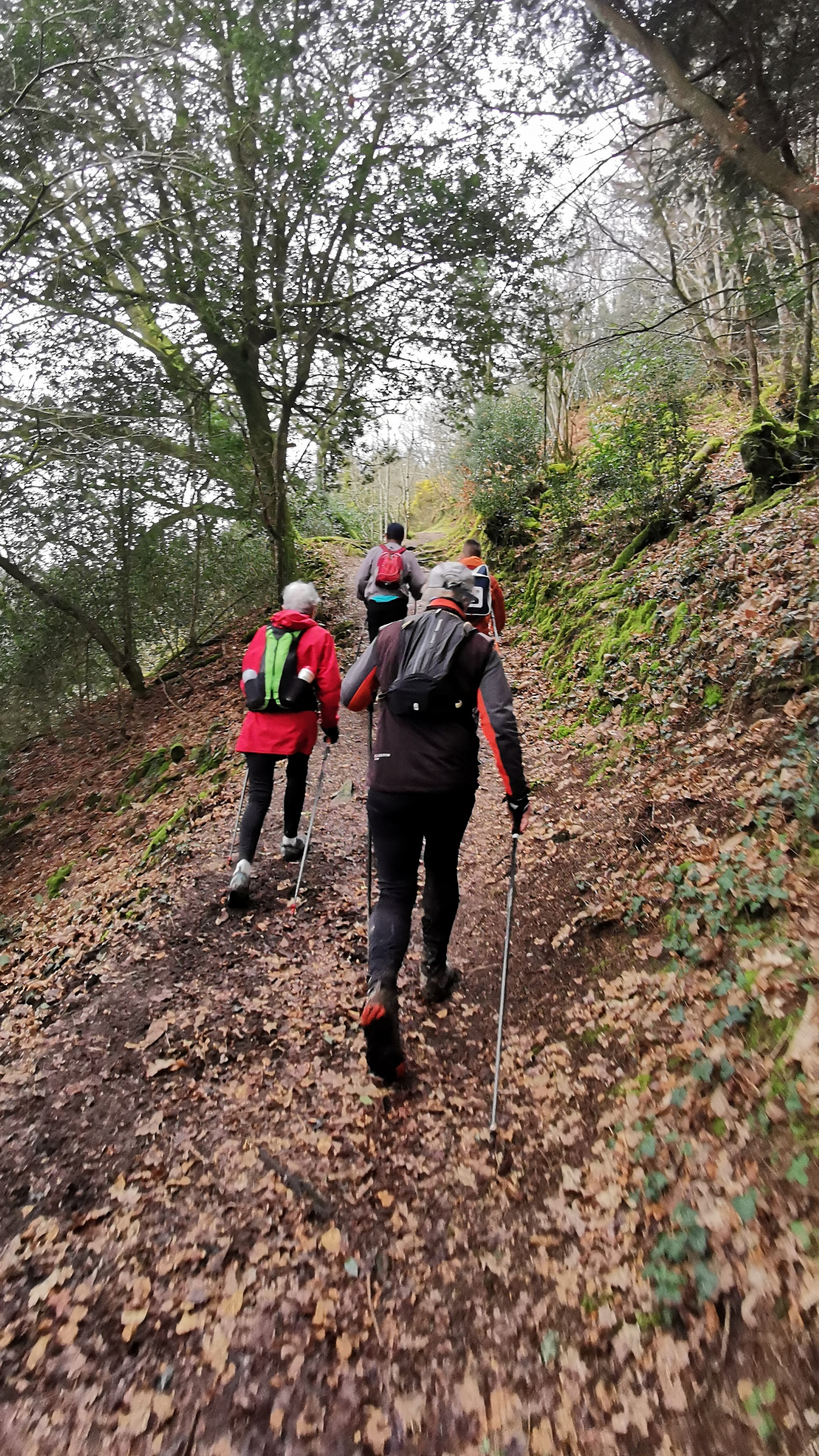 114-IMG_20210220_120858_1