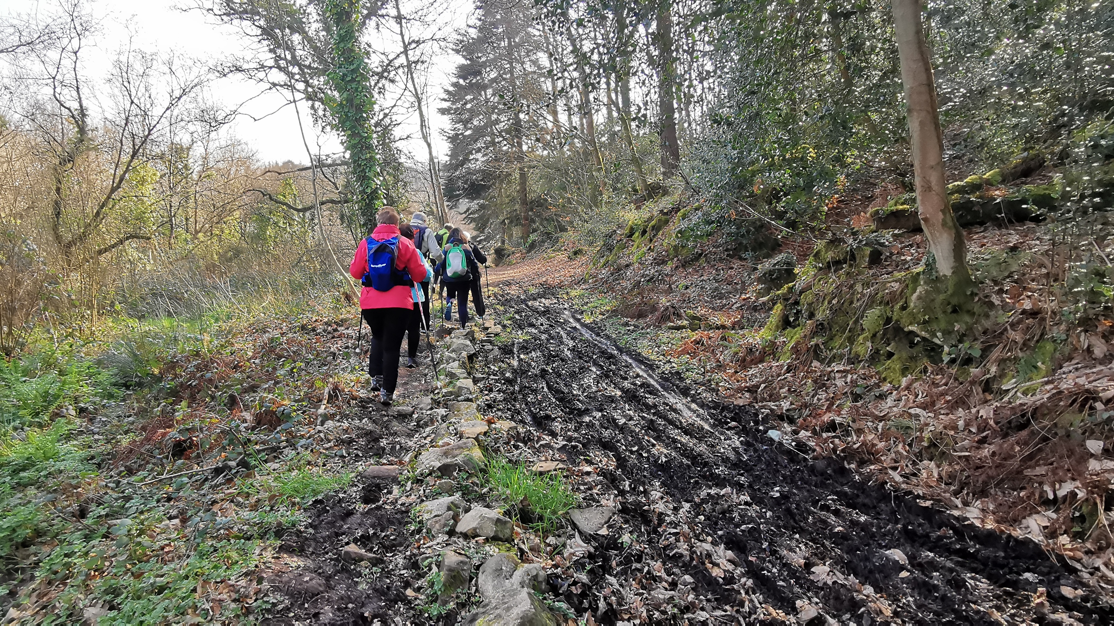 50-IMG_20210308_111513_1