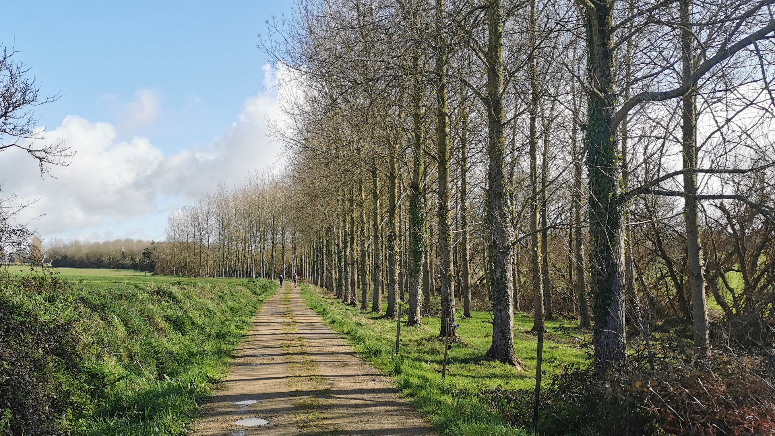 093-IMG_20210222_120624