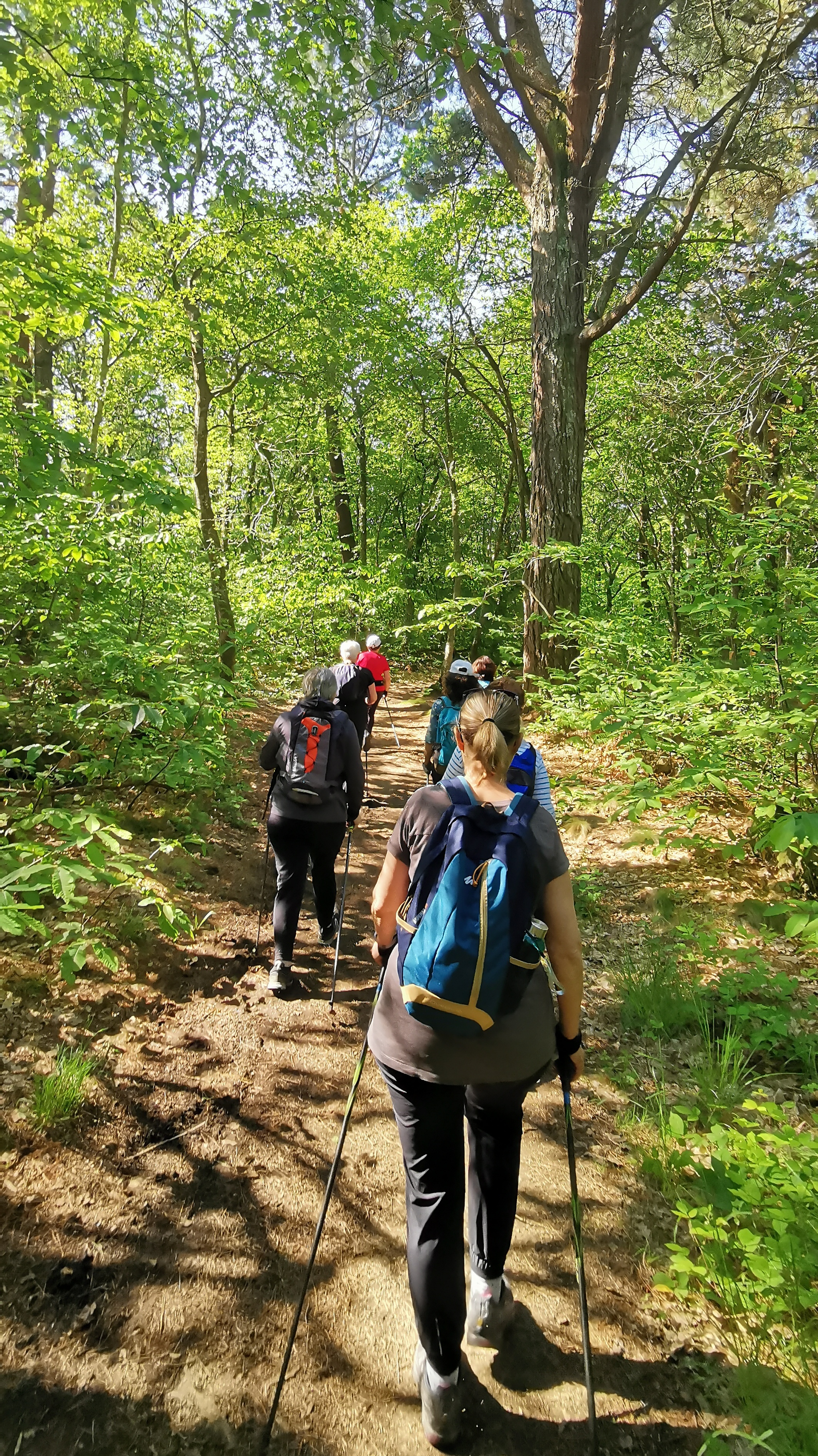 26-IMG_20210531_104120