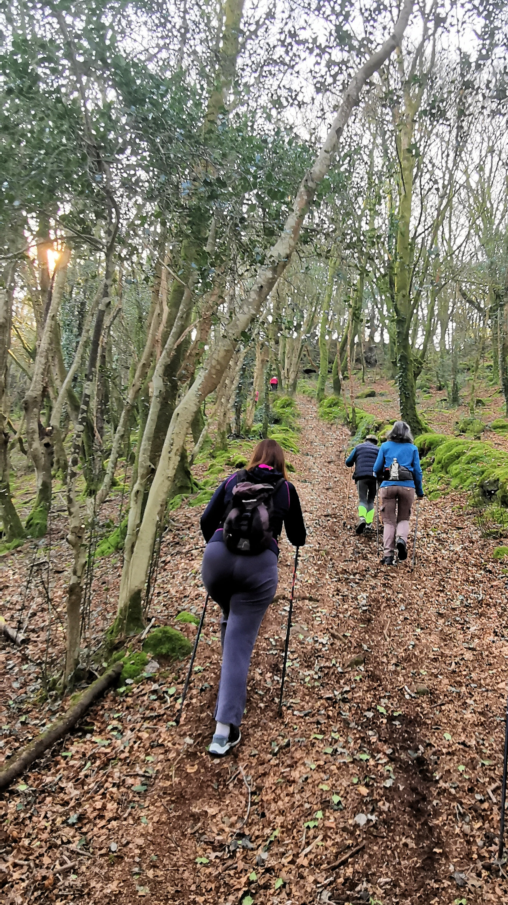 27-IMG_20210307_102221