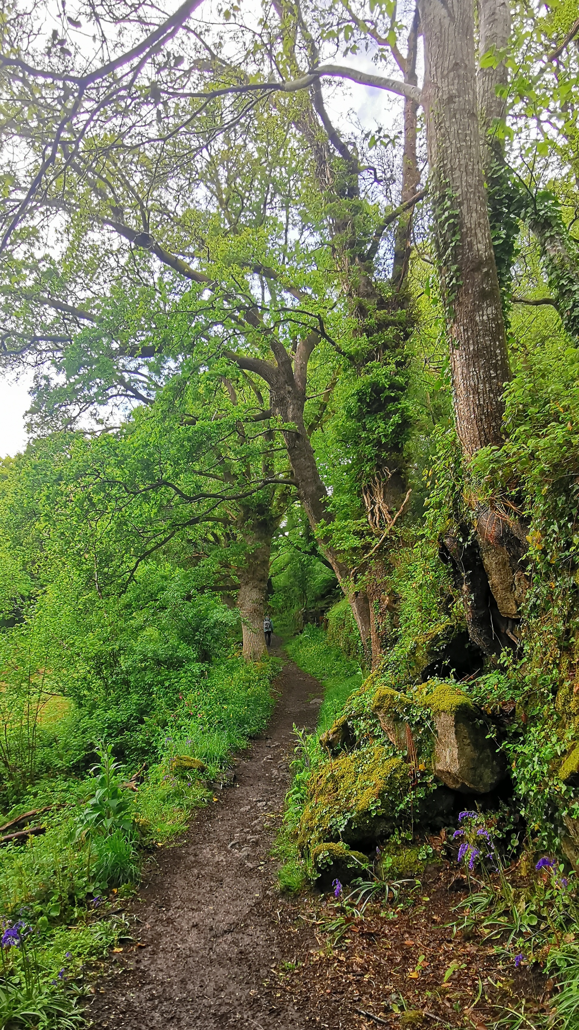 063-IMG_20210513_103541