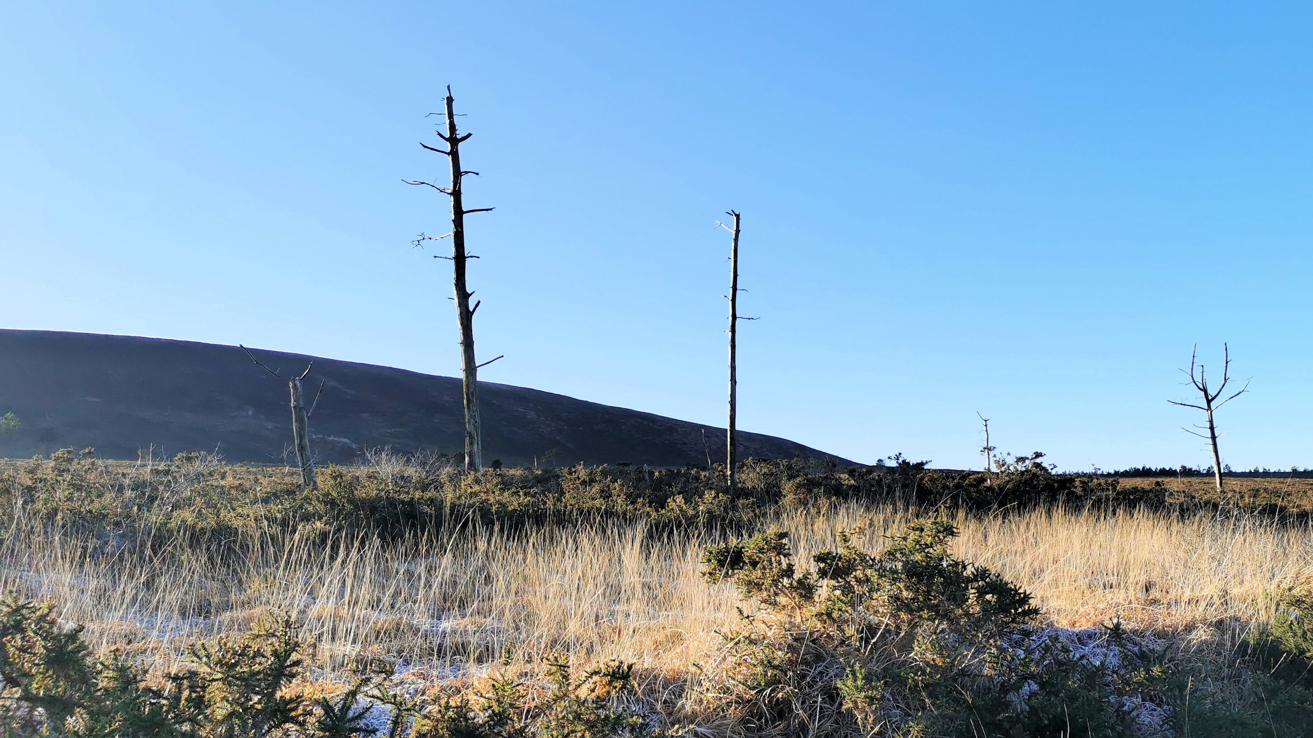 056-IMG_20210110_104023