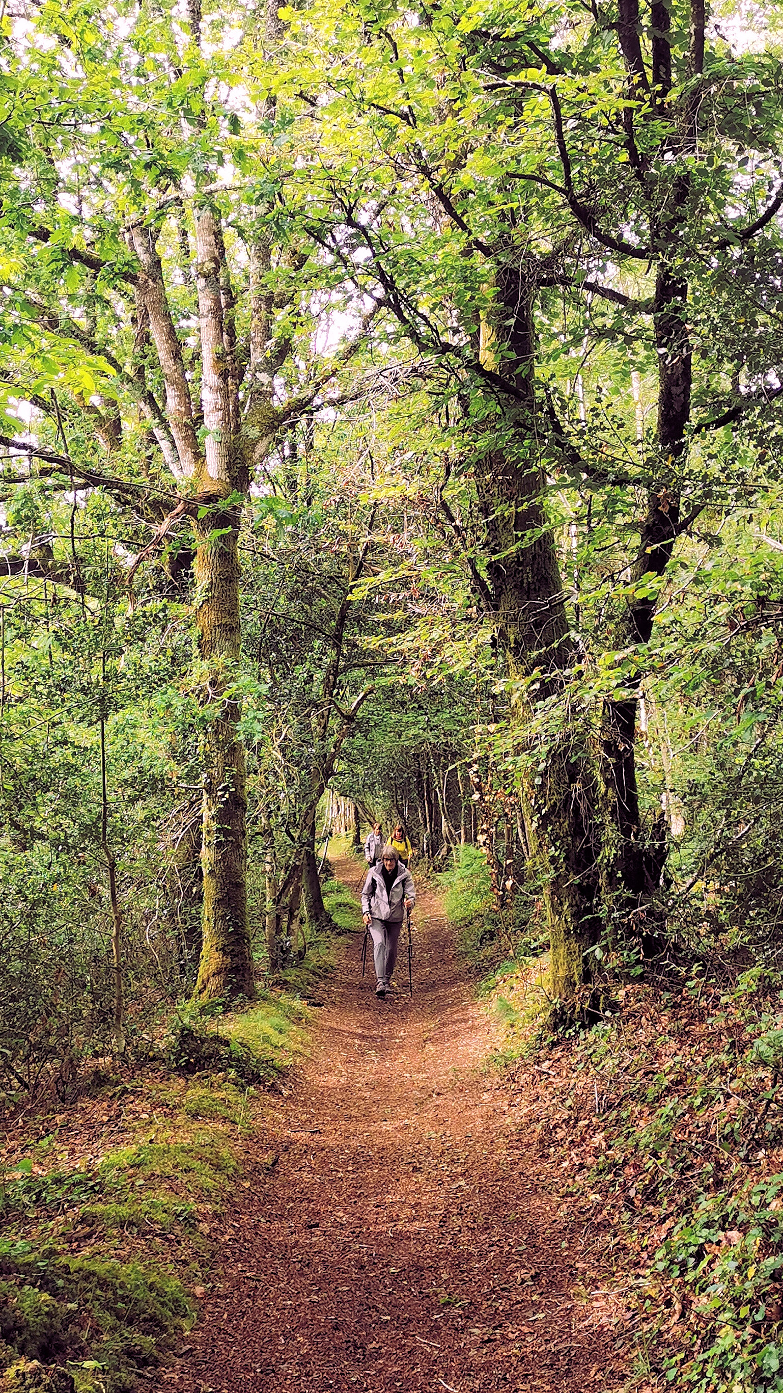 32-IMG_20210522_110305_1