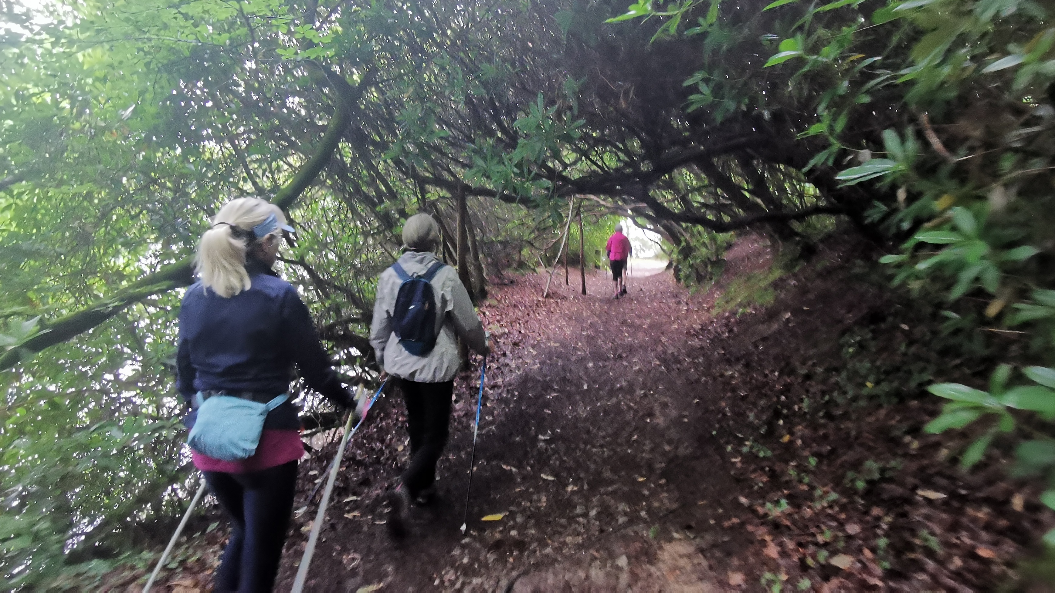 16-IMG_20210617_103149