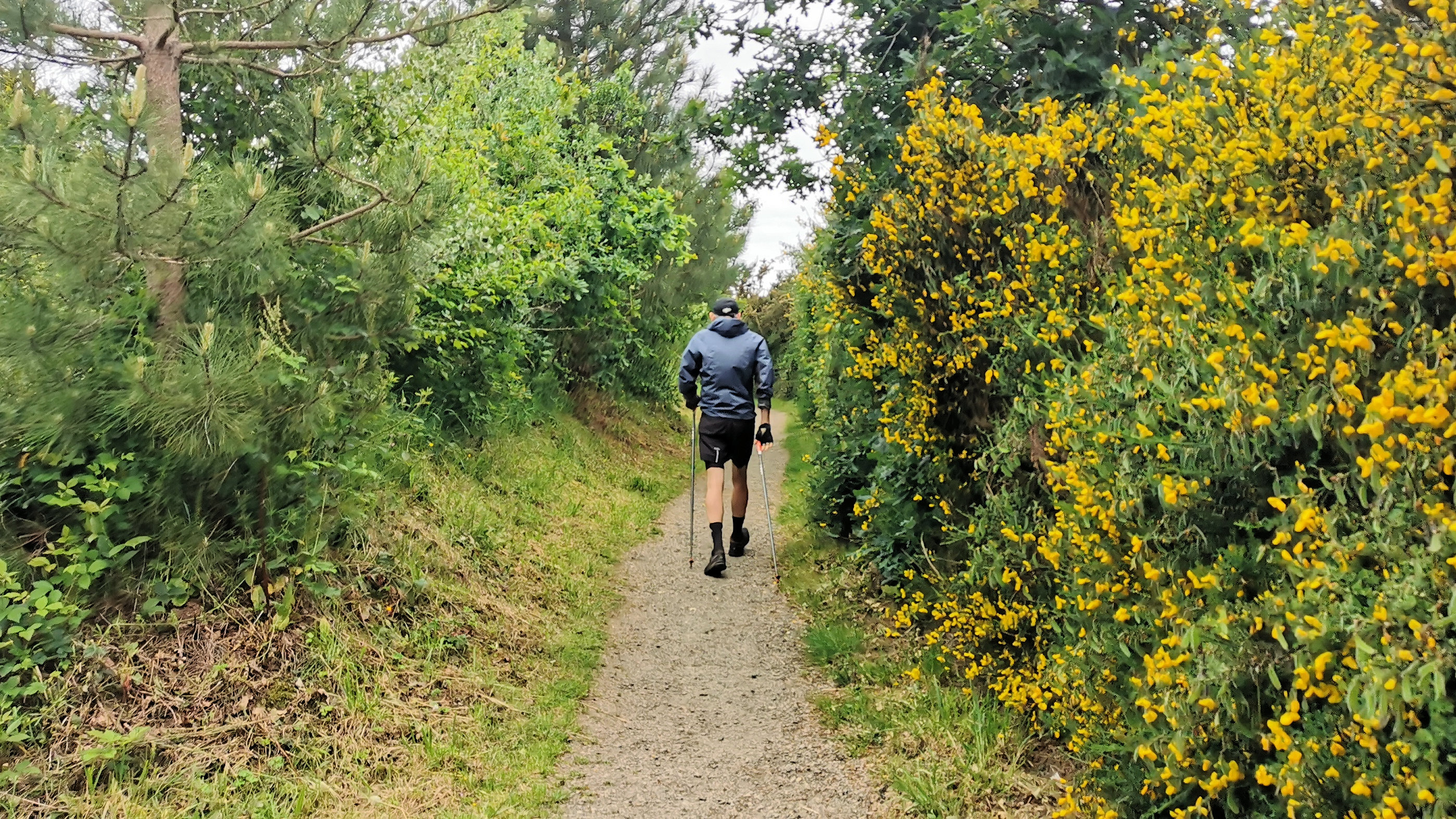 05-IMG_20210520_093838_1