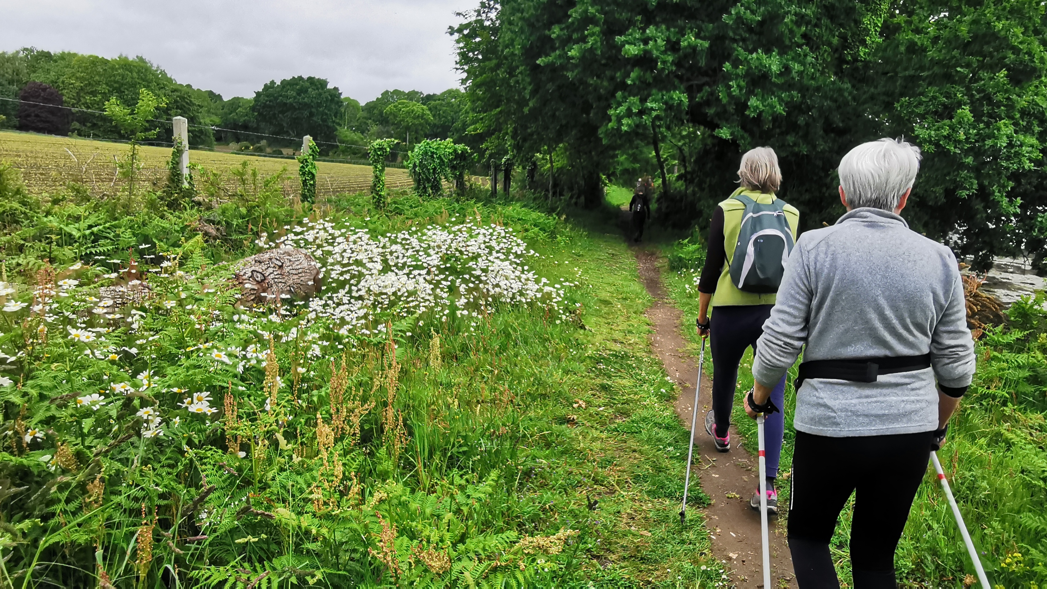 32-IMG_20210527_103705