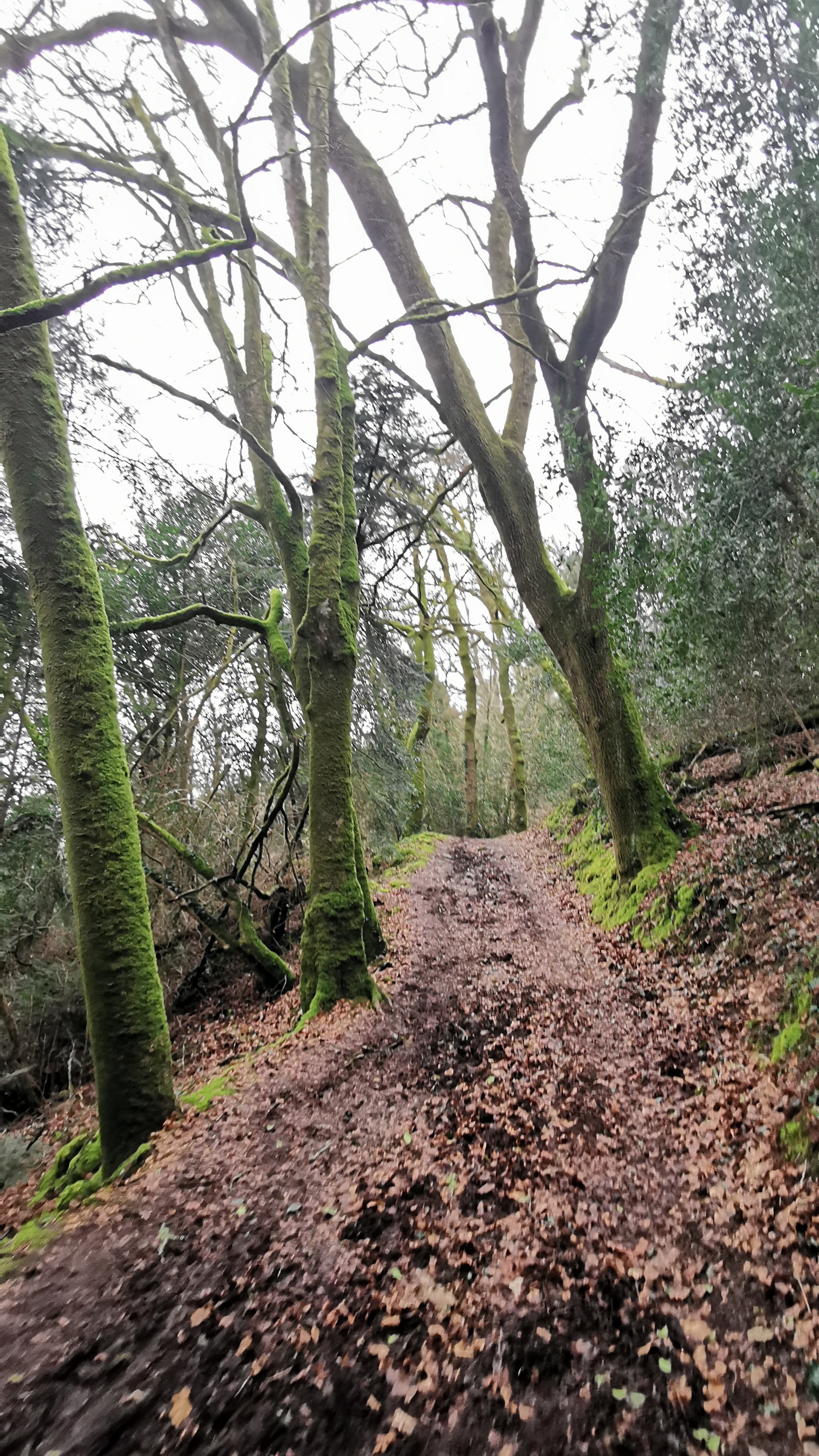 129-IMG_20210220_122030