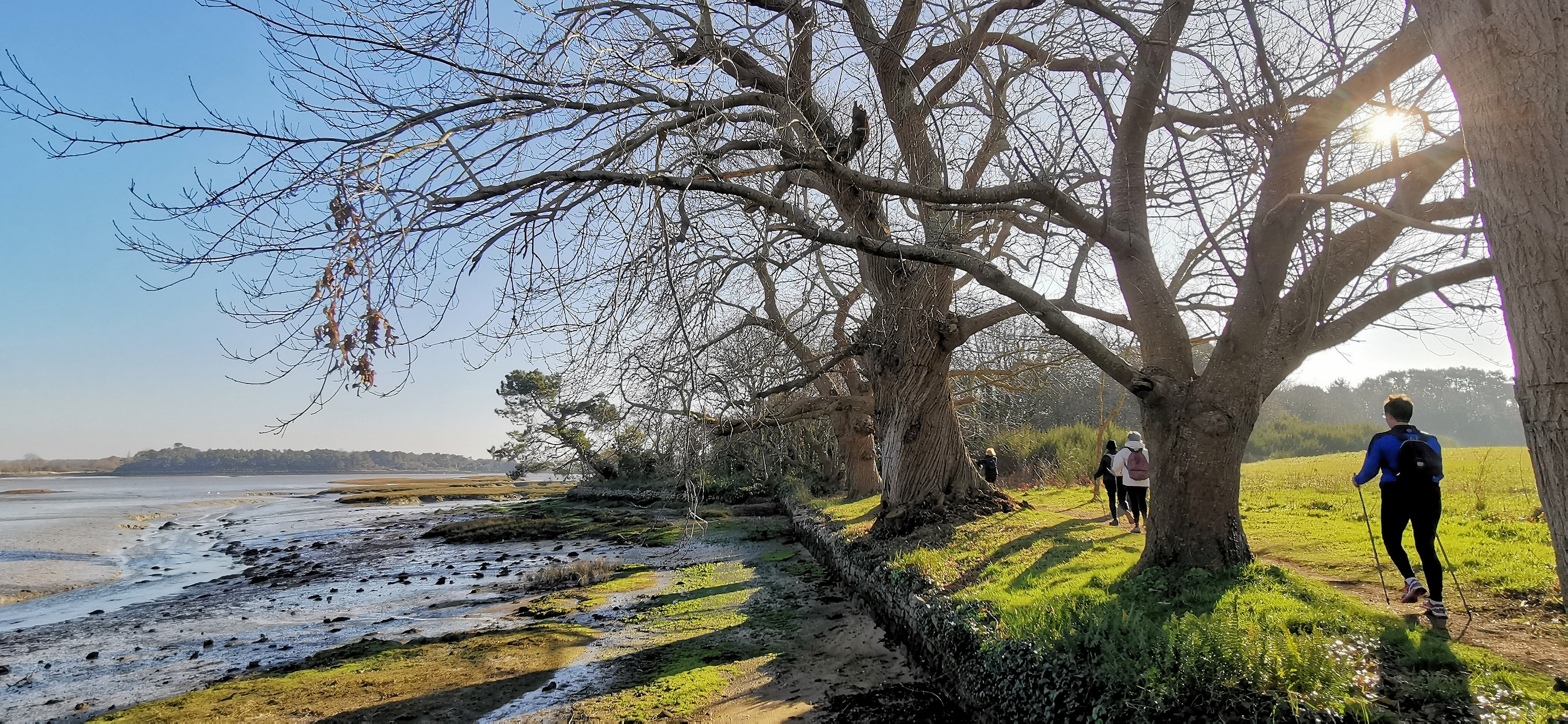 036-IMG_20210228_101333