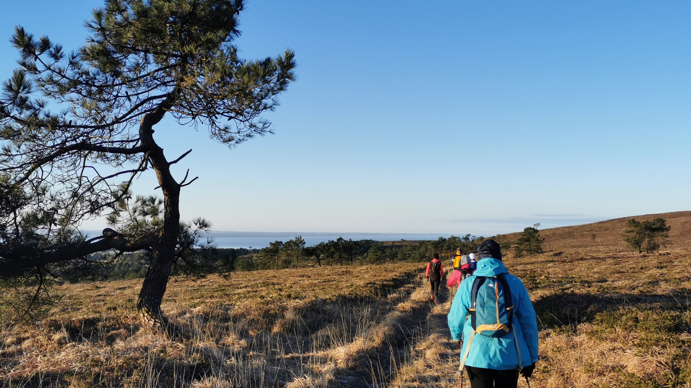 019-IMG_20210110_095704