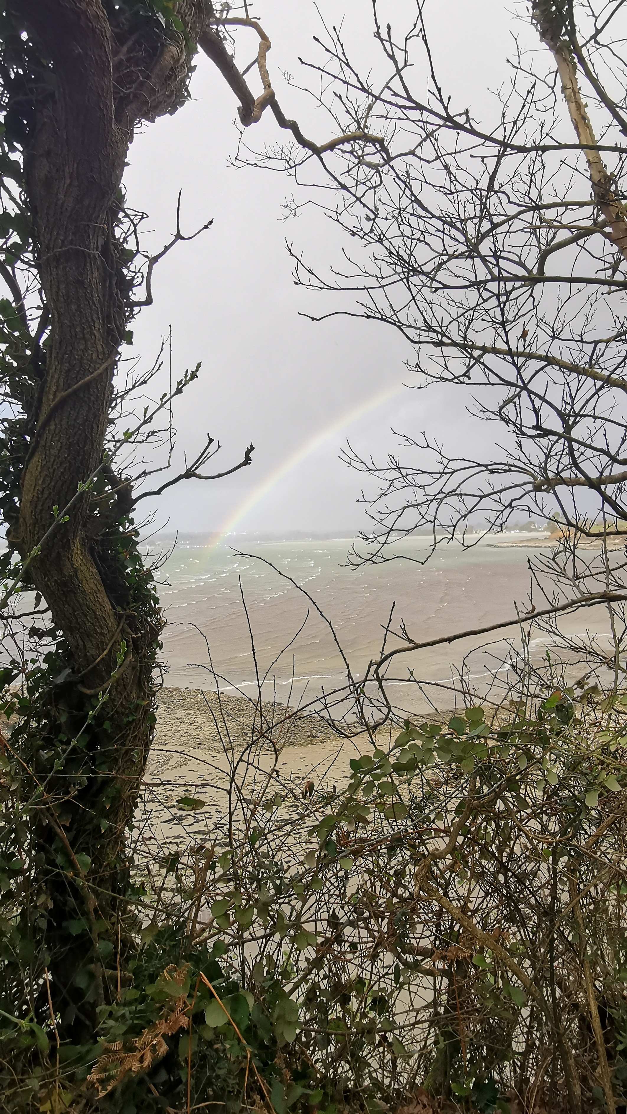 12-IMG_20210311_101929